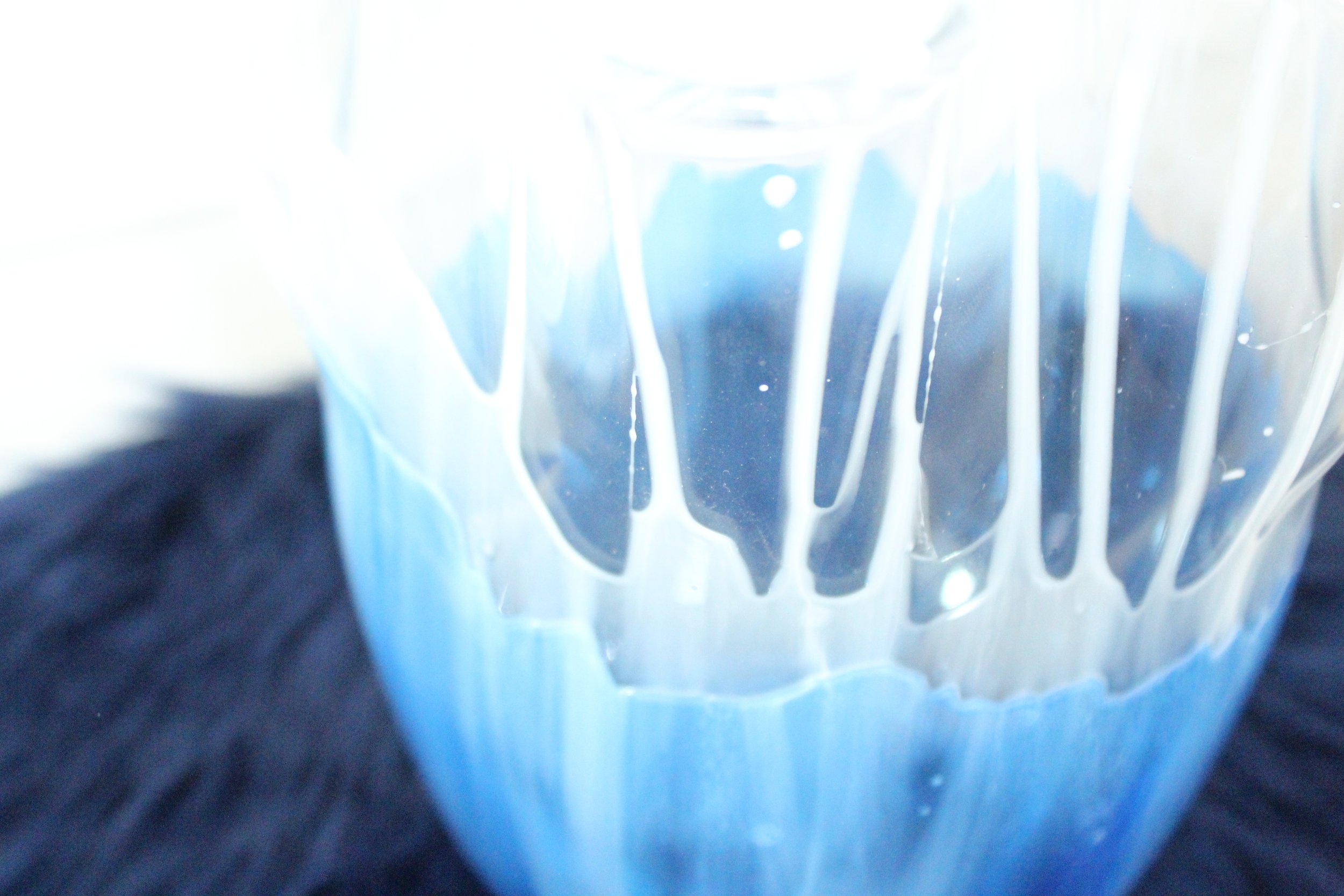 Jellyfish vase 5.JPG