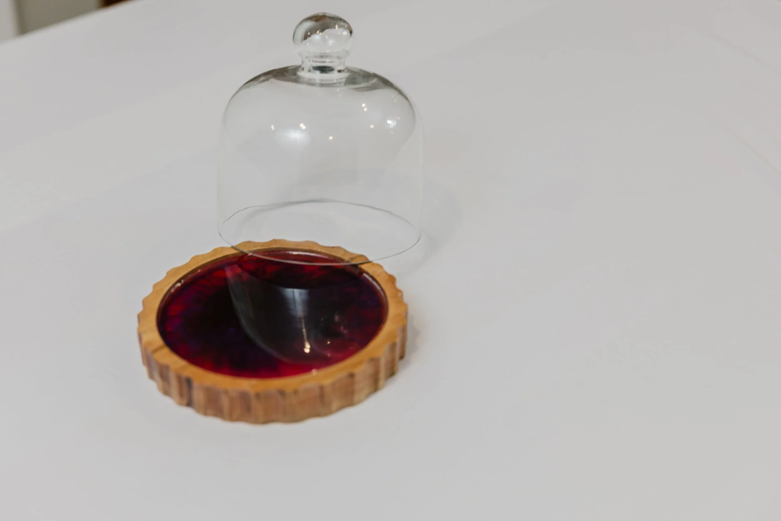 Mini Cocktail Smoking Dome