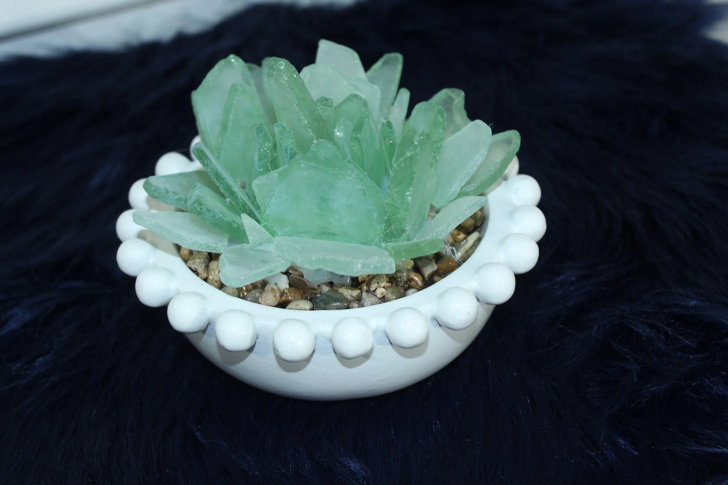 Sea Glass Succulent in White Beaded Planter.JPG