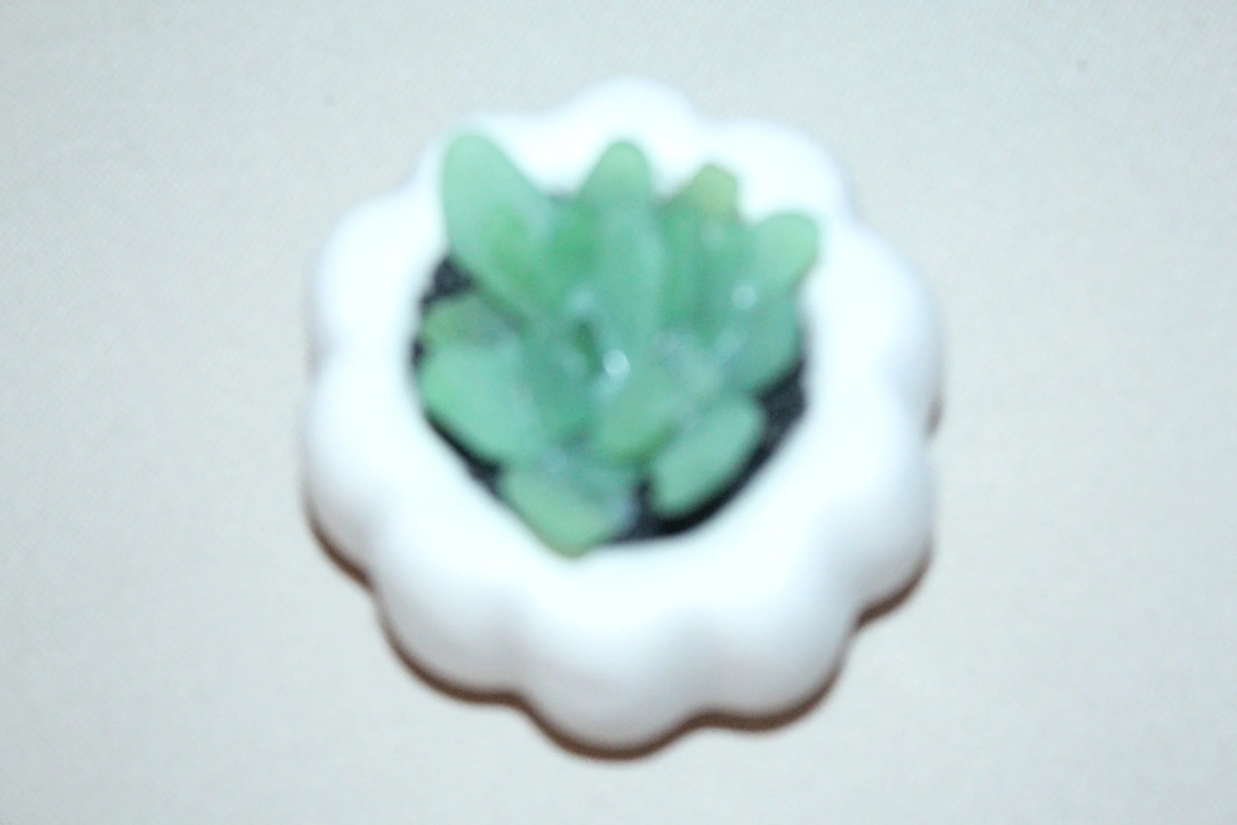 seaglasssucculent3.JPG