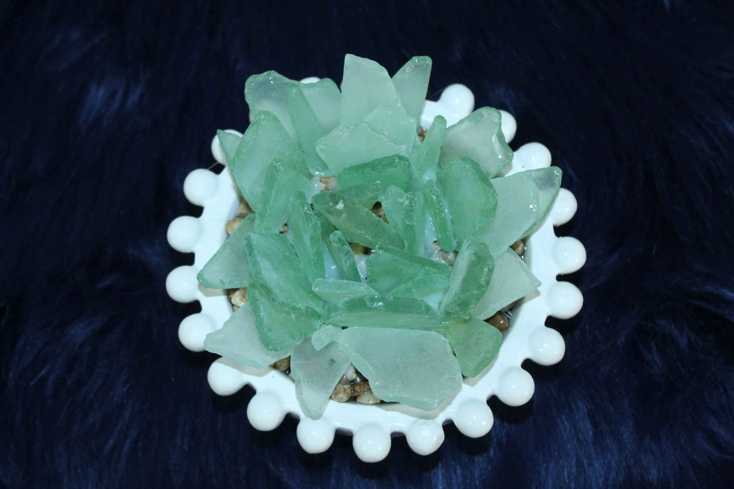 Sea Glass Succulent in White Beaded Planter2.JPG