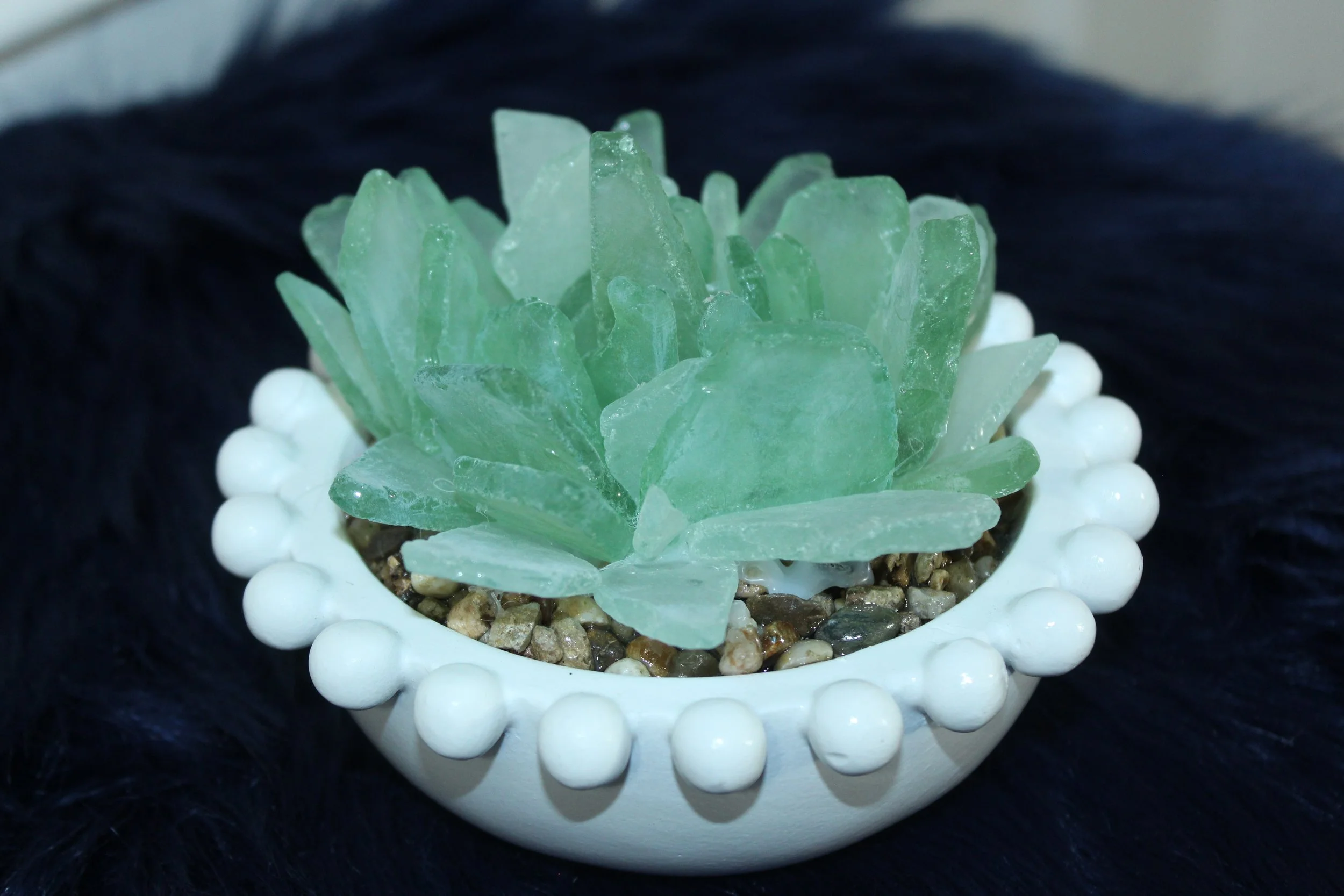 Sea Glass Succulent in White Beaded Planter4.JPG