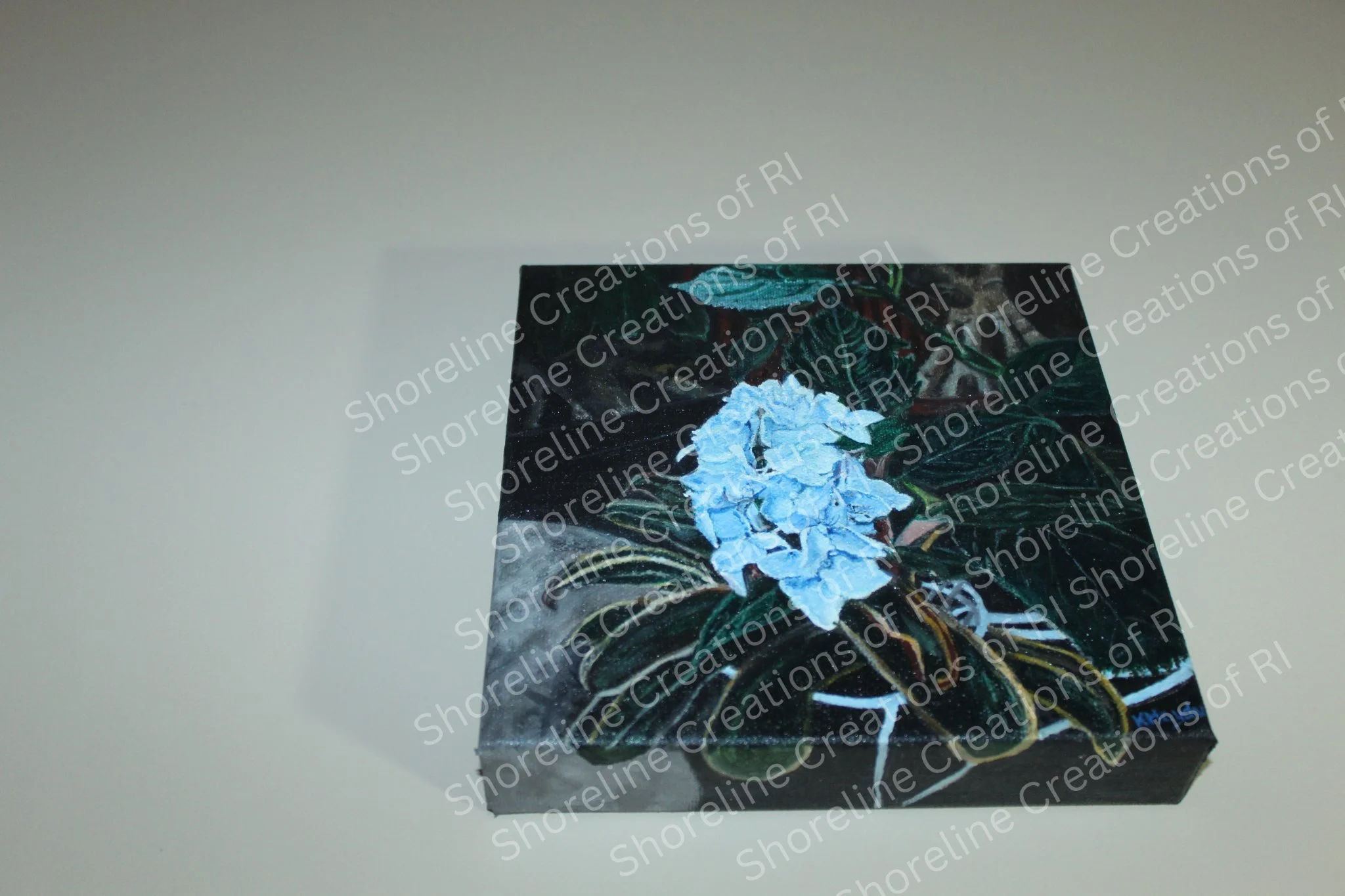 Hydrangea%204_compressed.jpg