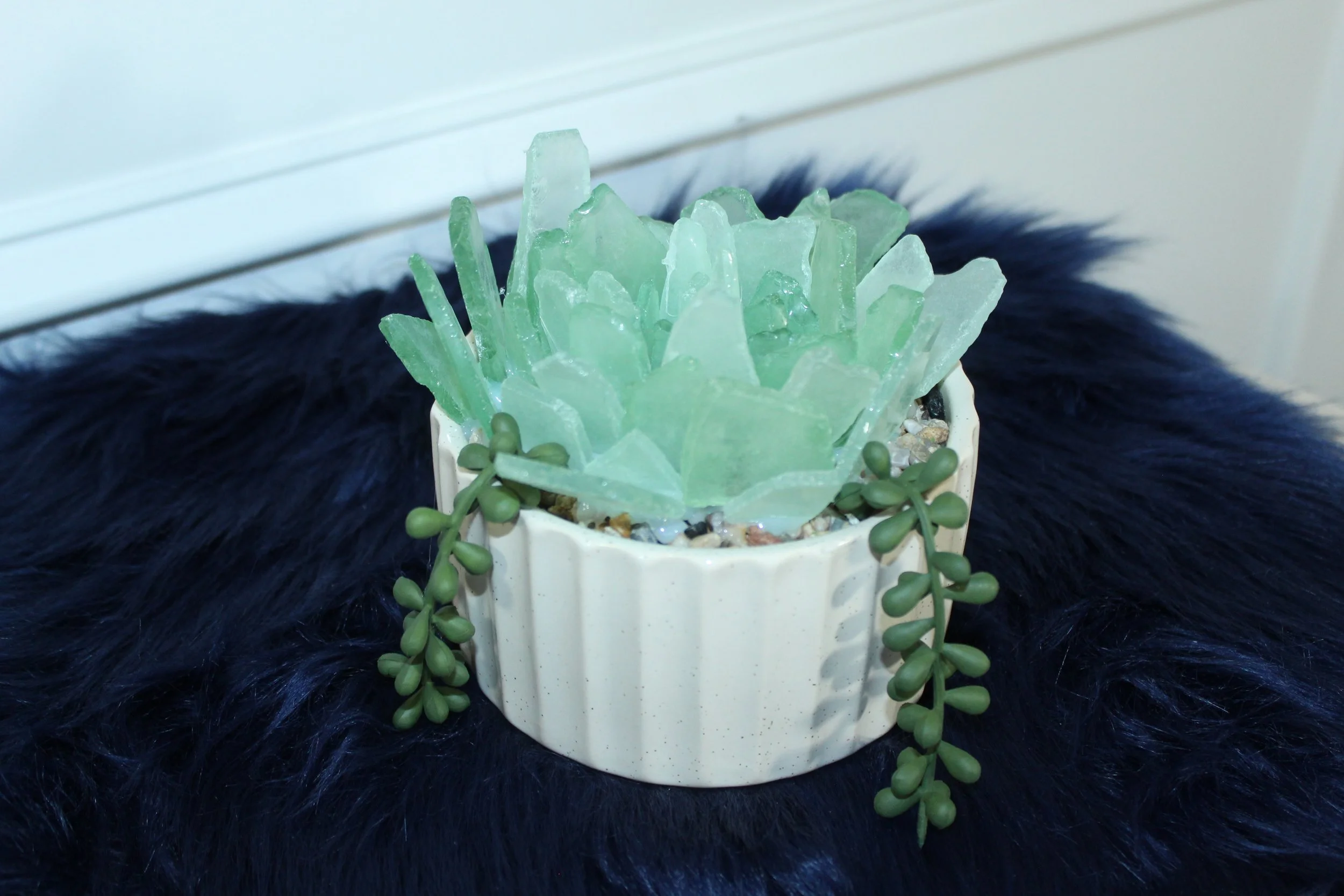 Large succulent -cream ceramic pot and light green seaglass2.JPG