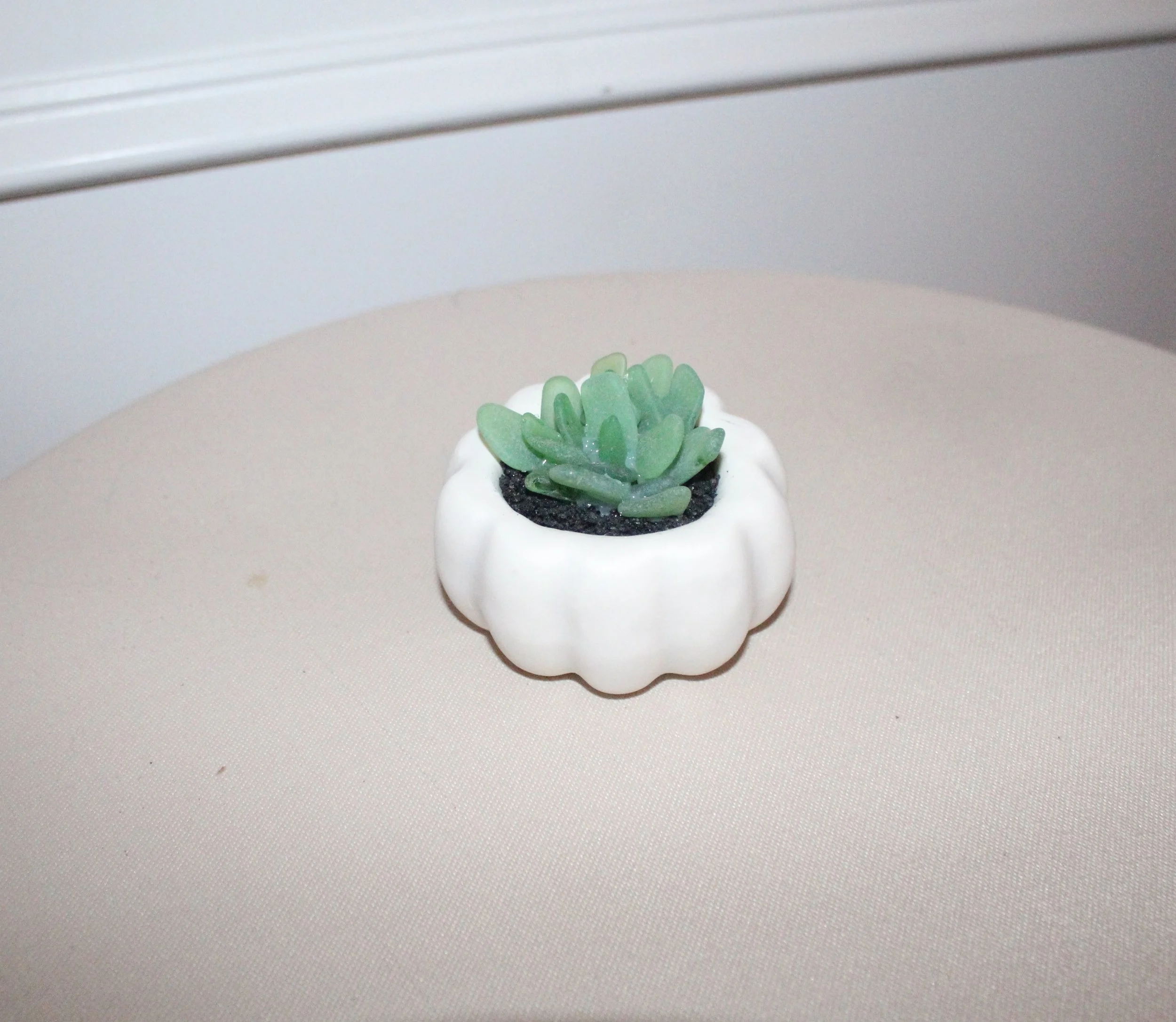 seaglasssucculent3.jpg