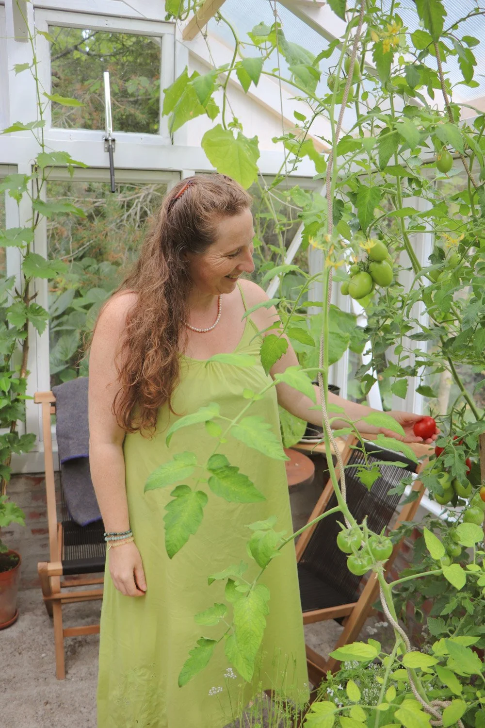 kvinne som plukker tomater i drivhuset i hagen