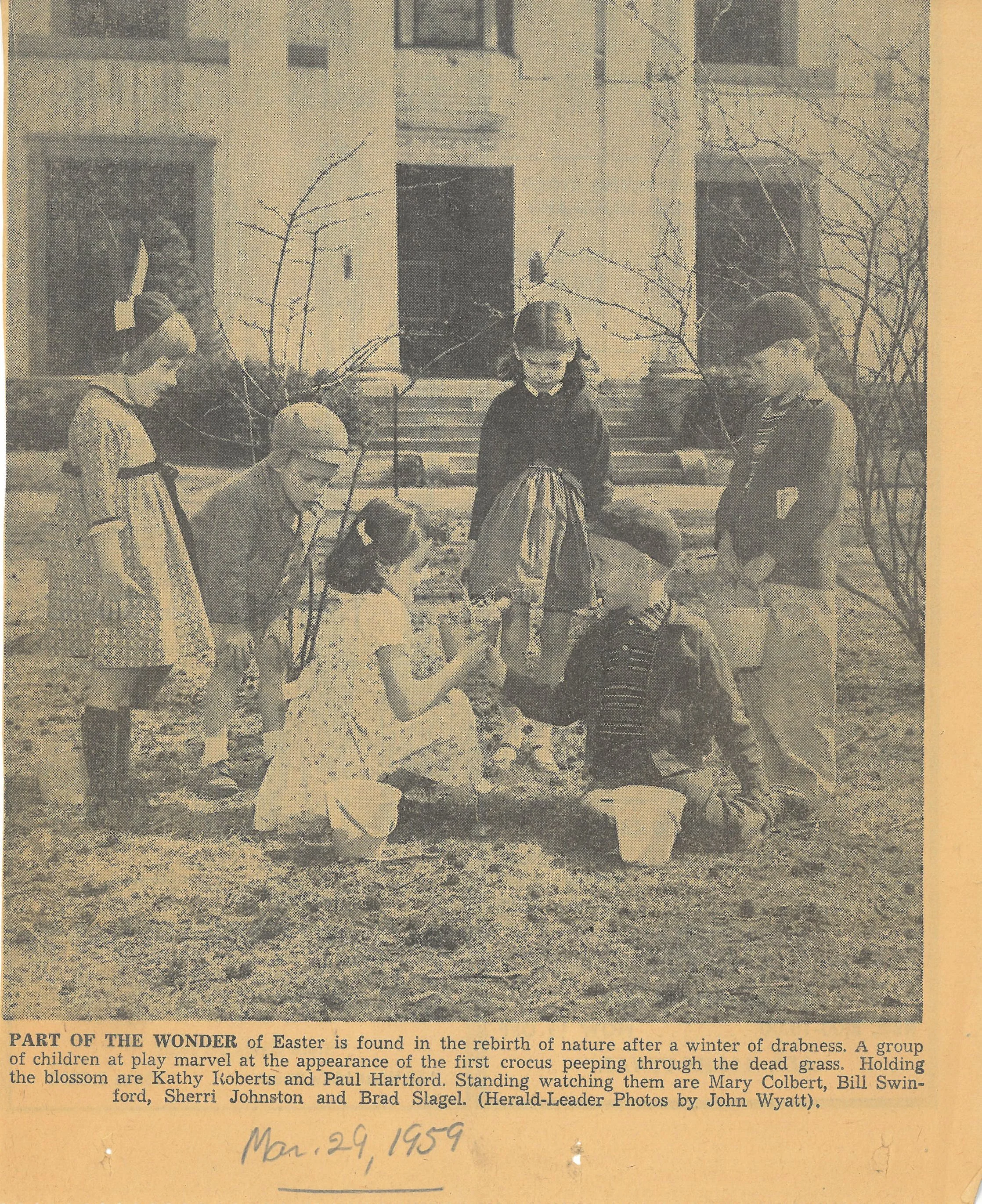 Children and adults in a yard near a building, observing a crocus peeking through the dead grass after winter. Some children are holding flowering crocuses, with others watching or standing nearby.