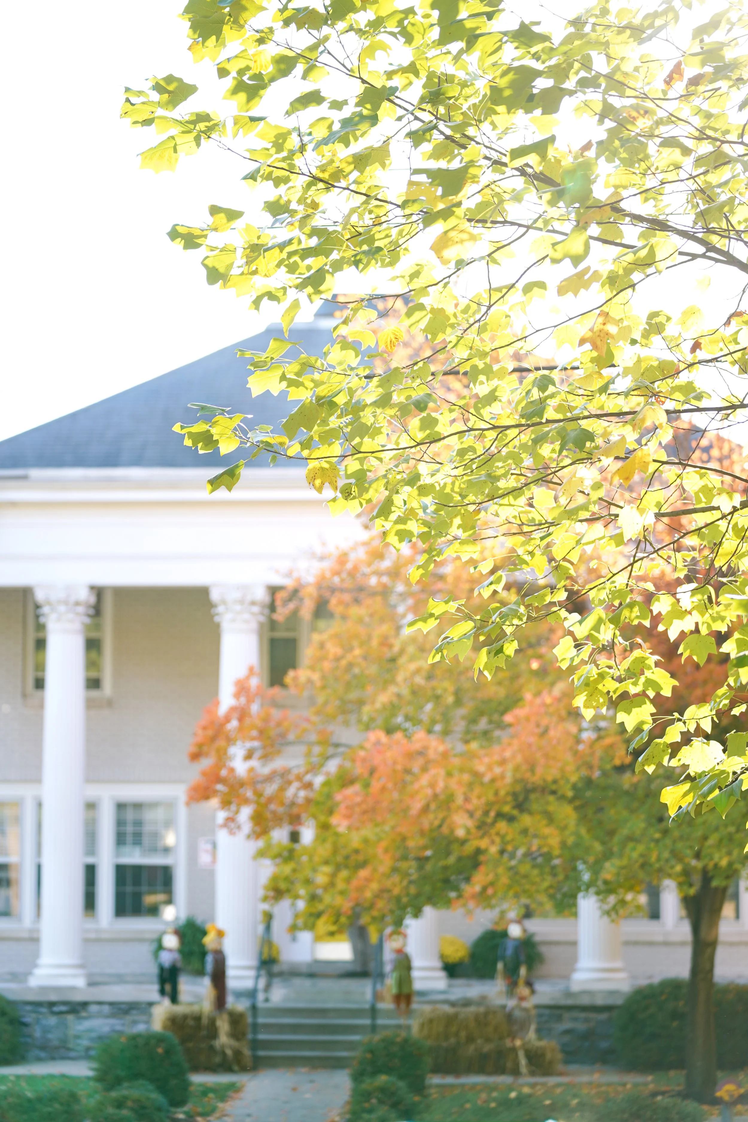 Front of a house with large white columns, surrounded by trees with green and orange leaves, indicative of autumn, with sunlight shining through the foliage.