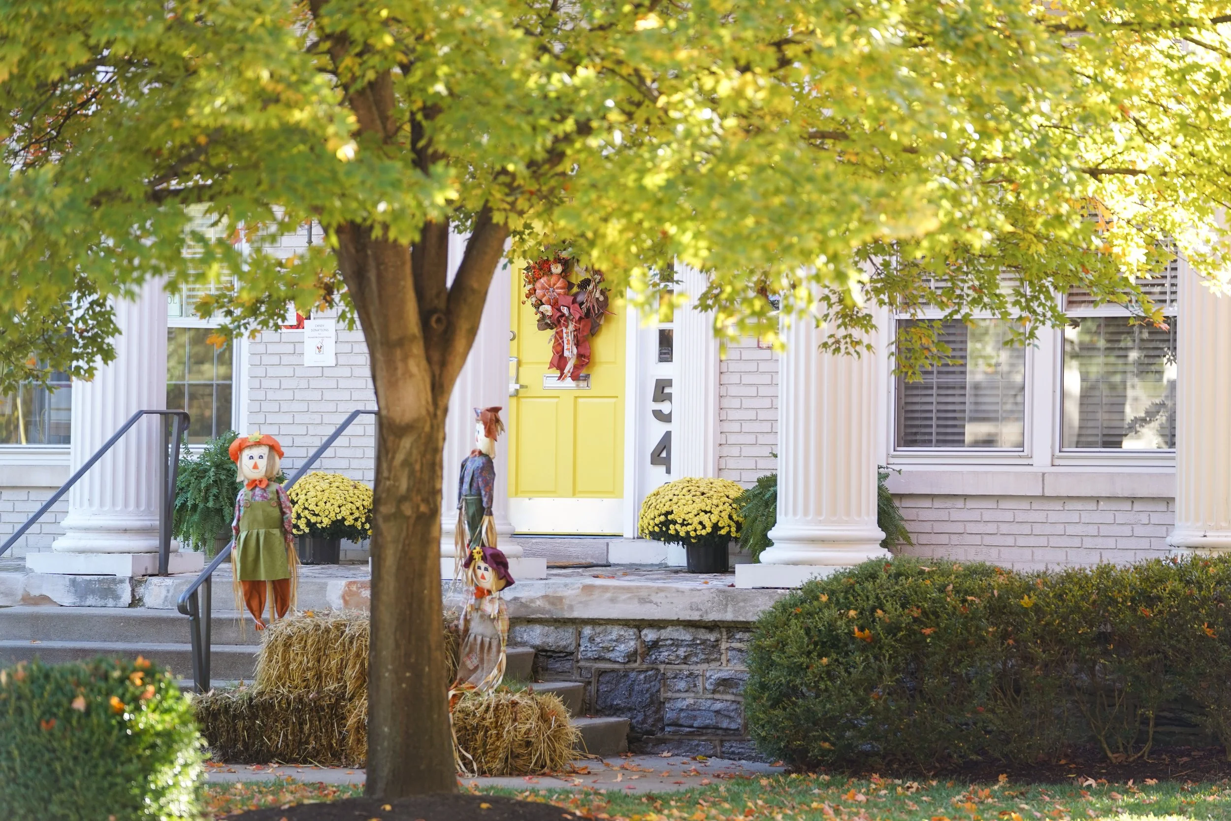 beautiful landscaping