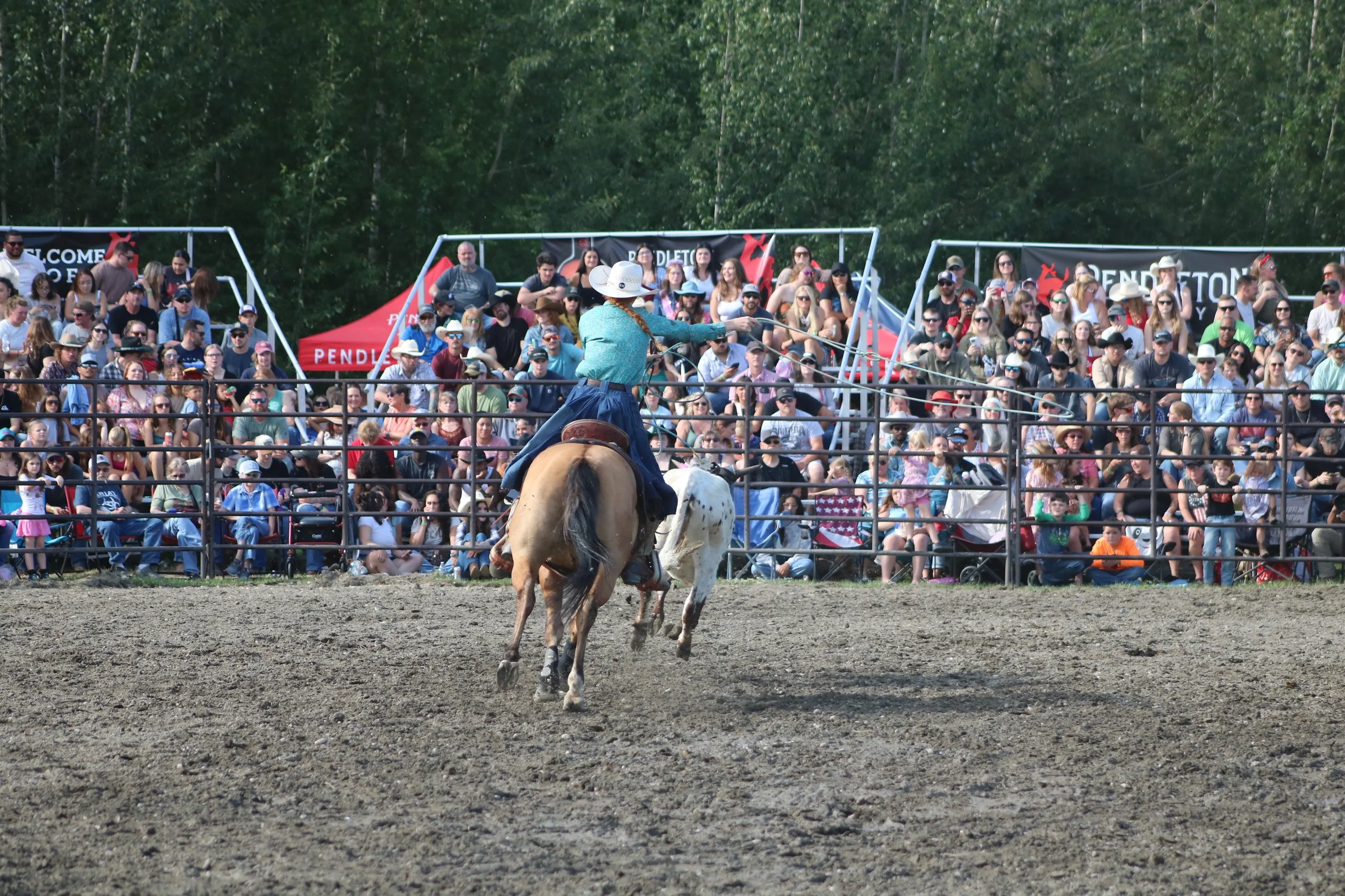 IMG_3748.JPG