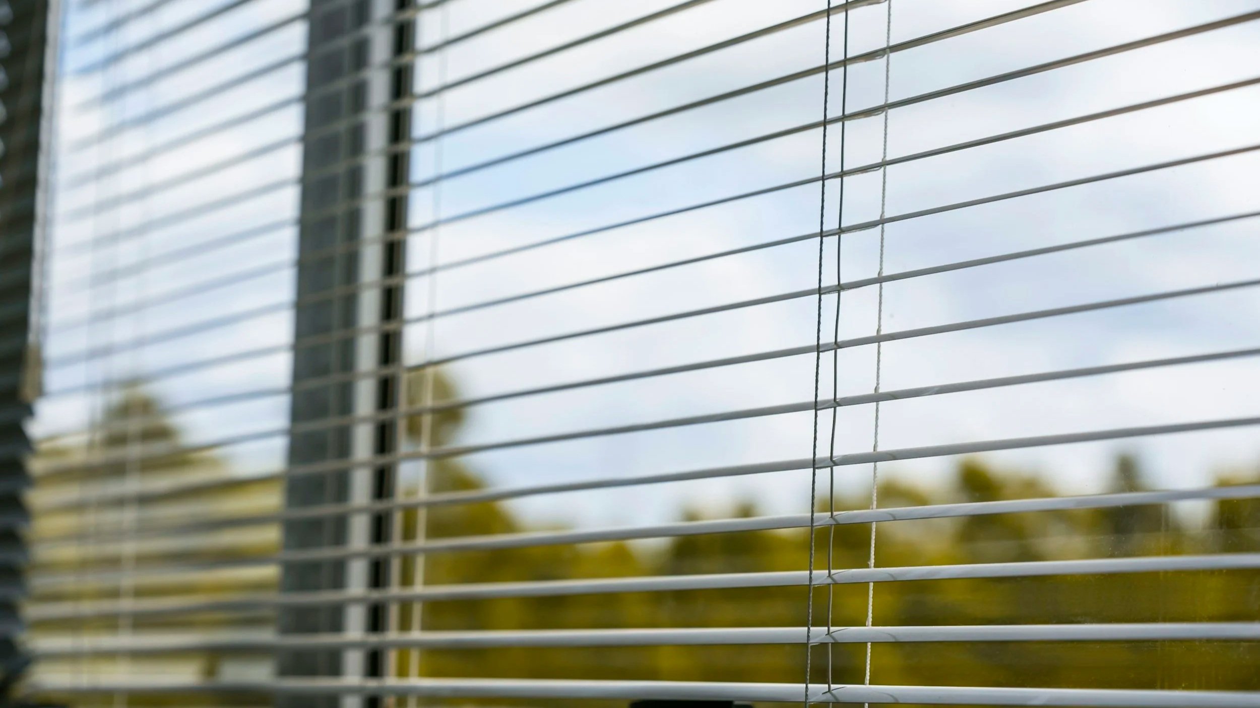 Close-up of window blinds with a view of tree branches and sky outside on a cloudy day.