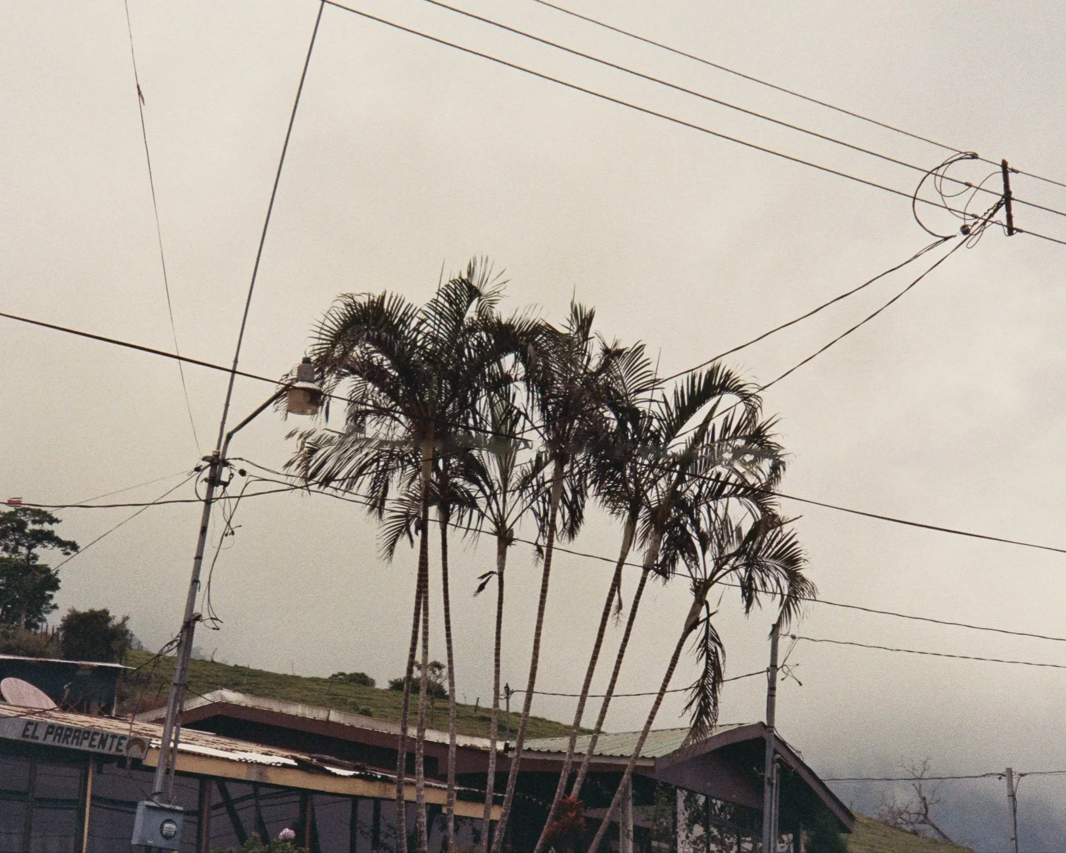 Costa+Rica+Point+and+Shoot+-48.jpg