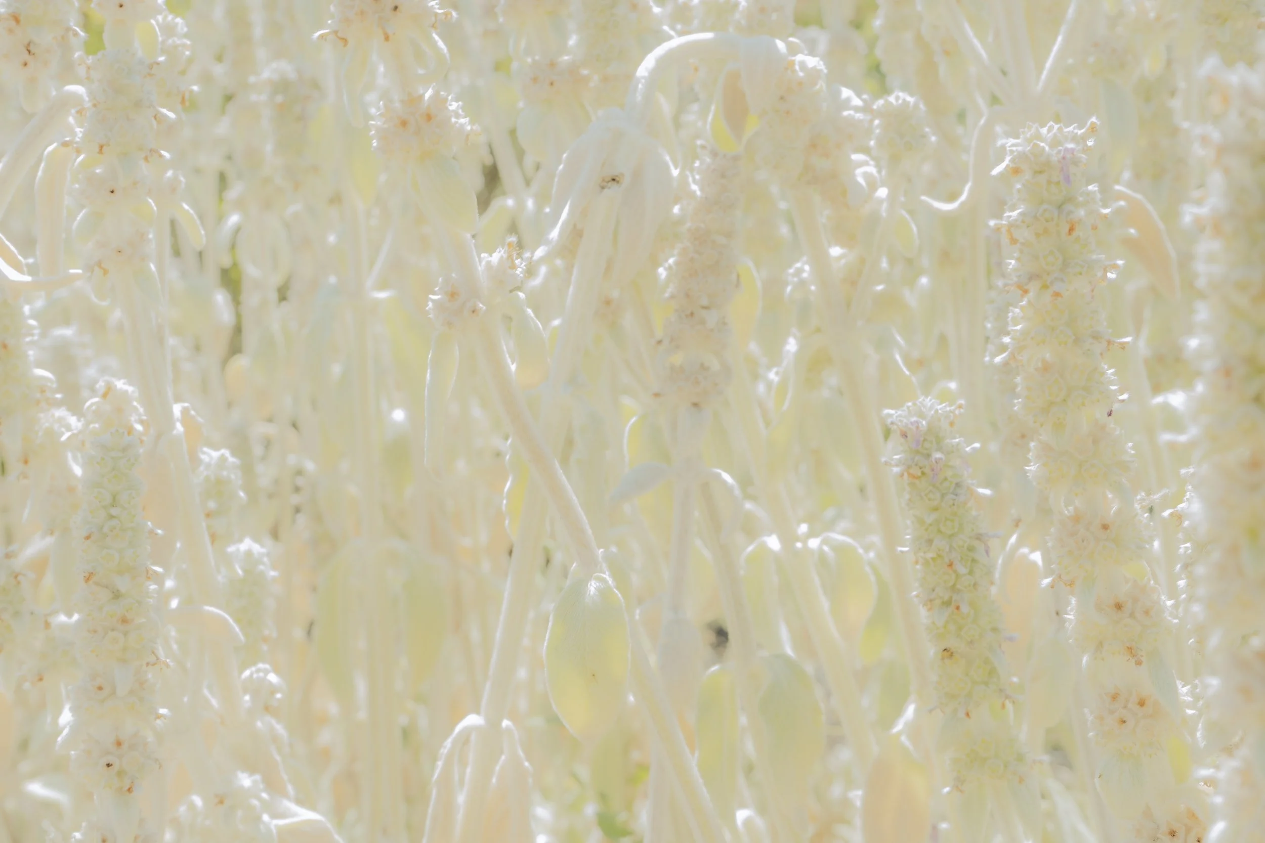 Working Progress 2-2.jpg