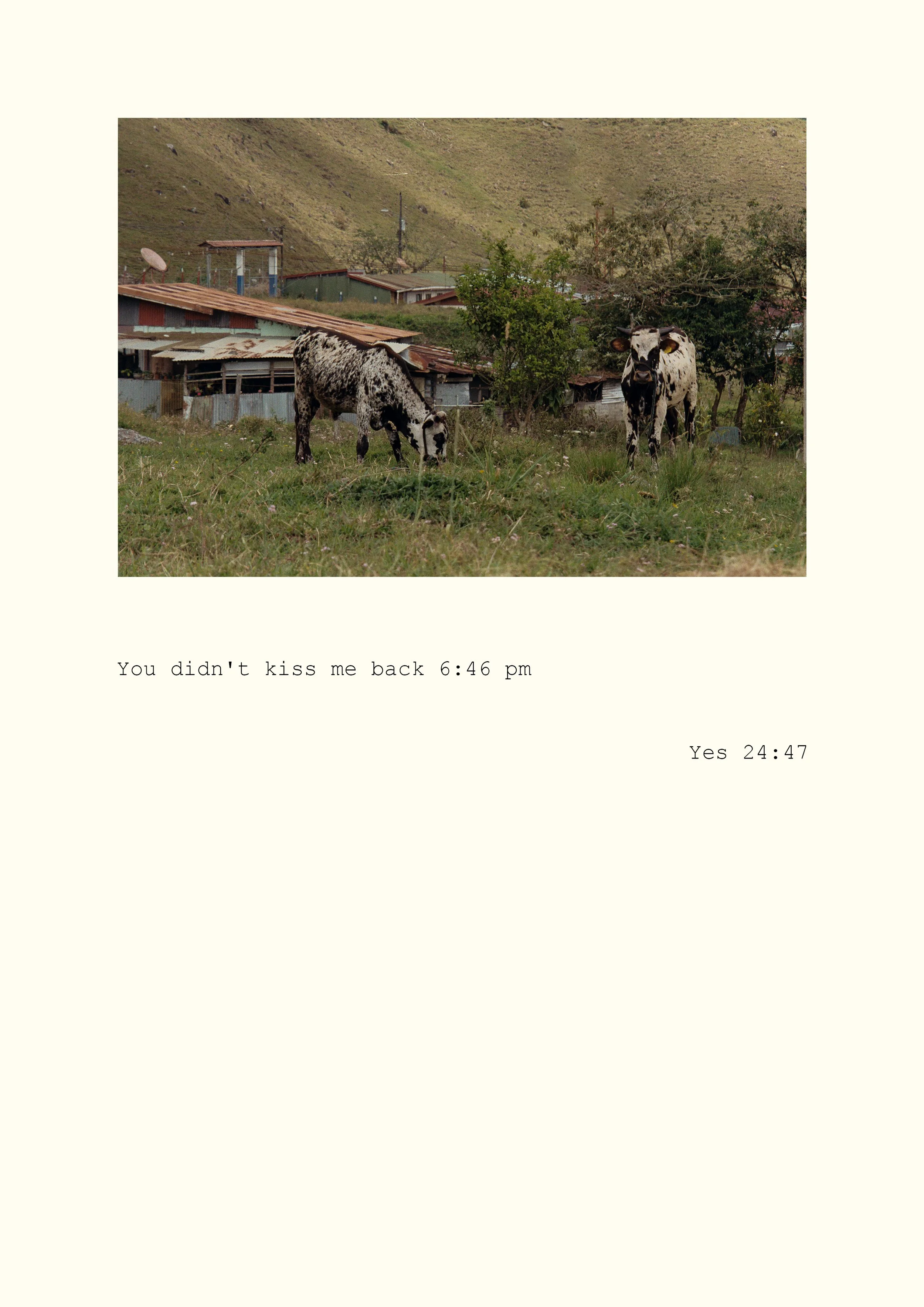 Caption26.jpg