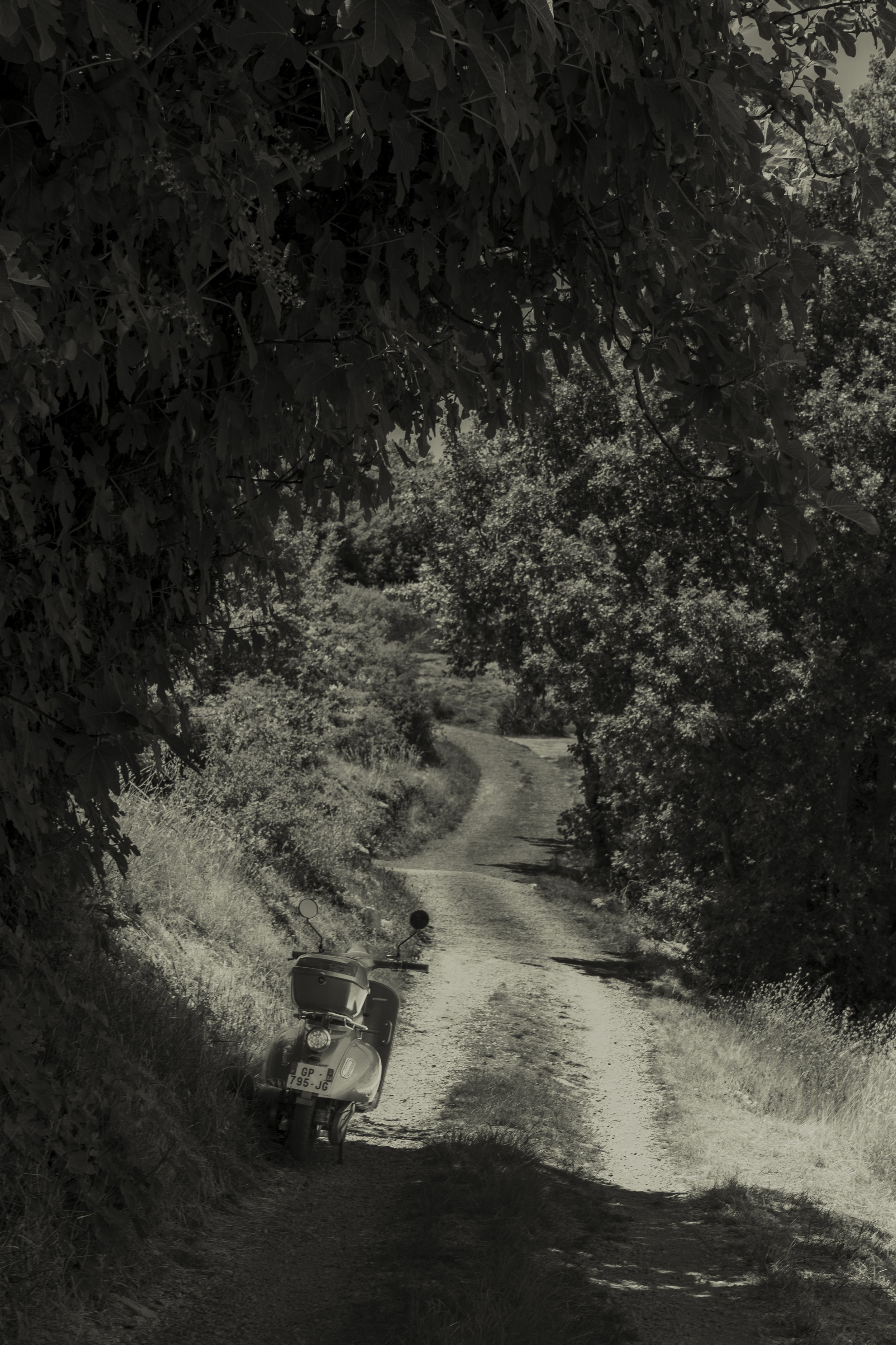 Working Progress 2-7.jpg