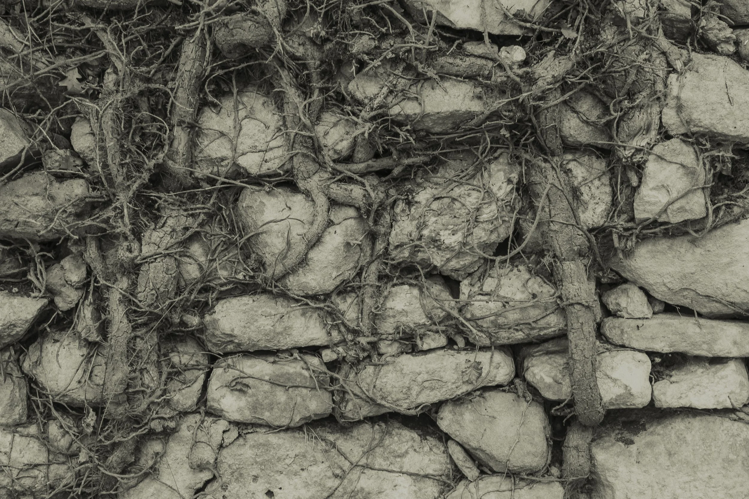 Working Progress 2-12.jpg