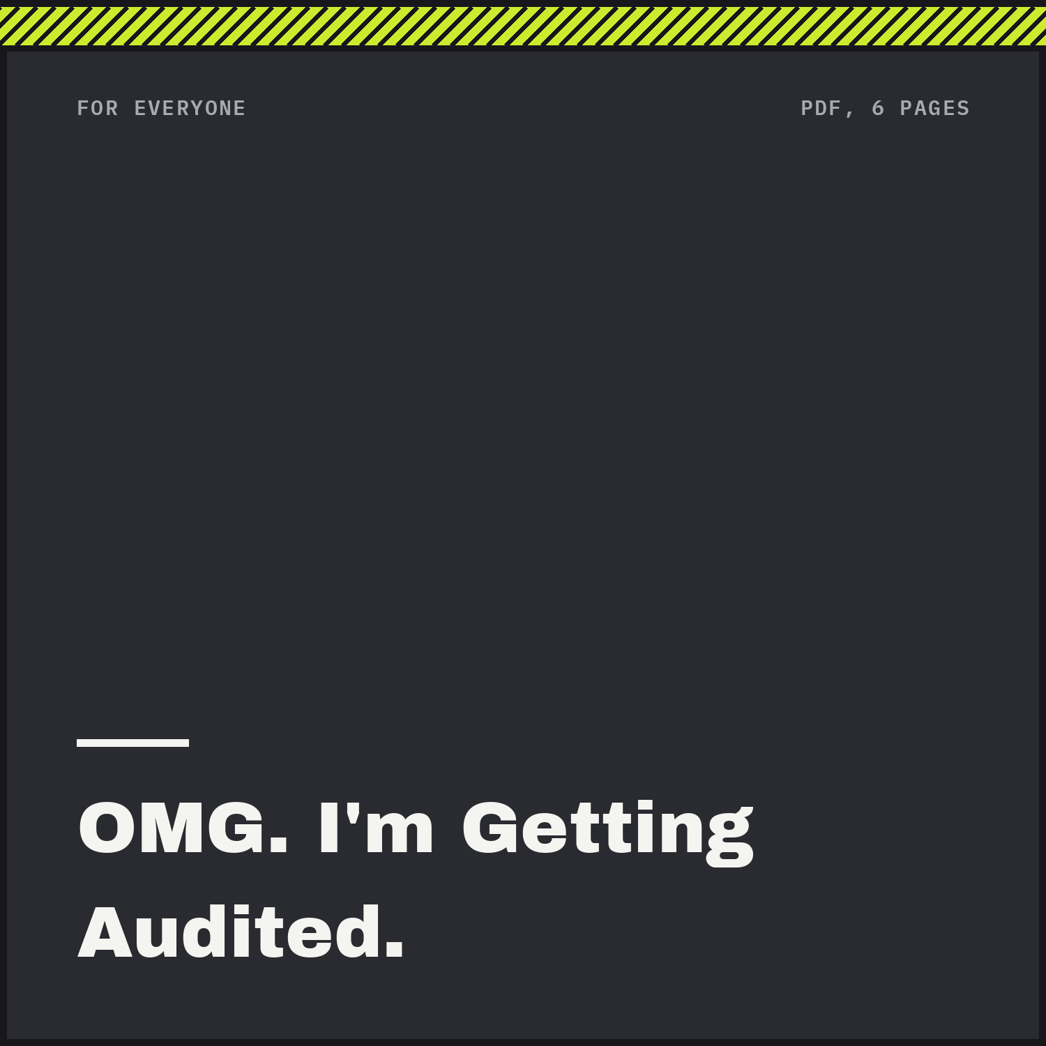 OMG. I’m Getting Audited. — The Survival Guide