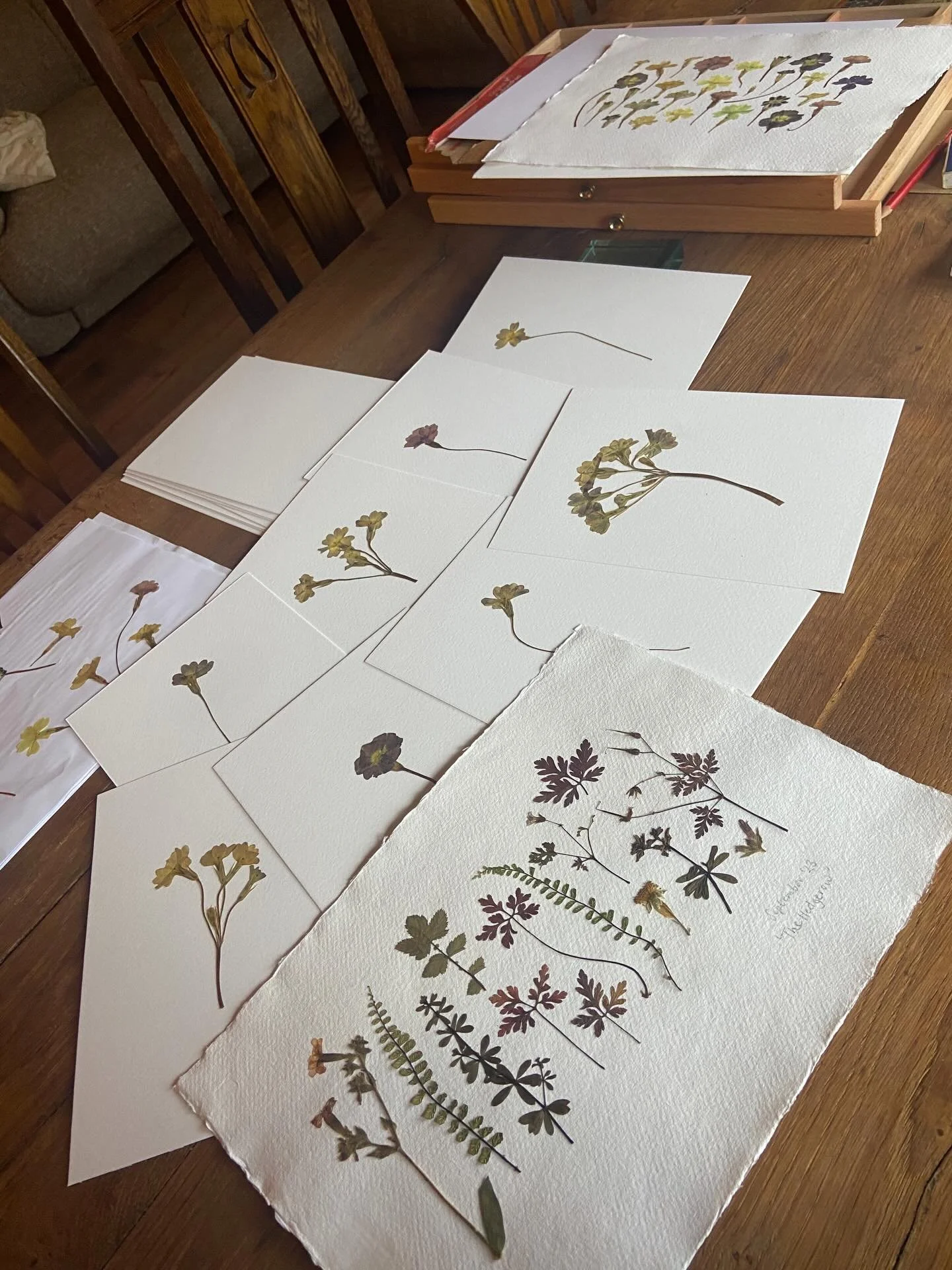 Spring began with a sort out of my flower storage, amongst which I found some real gems and spent a morning creating. 

Two of these pieces were gifted to my sister, but the others will be up on my website shop soon. 

#spring #pressedflowerart #flow