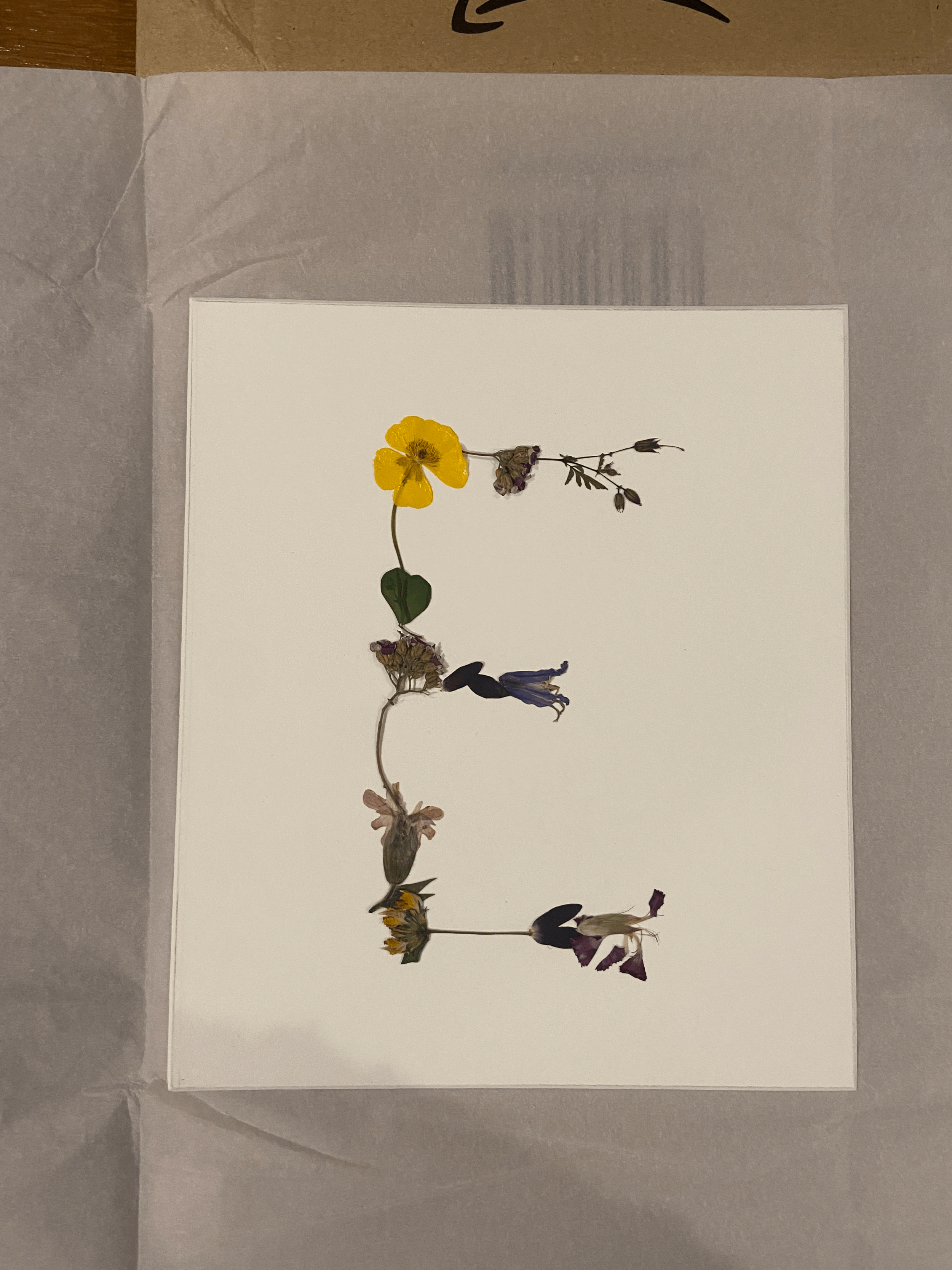 tempImage93uCIb.gif