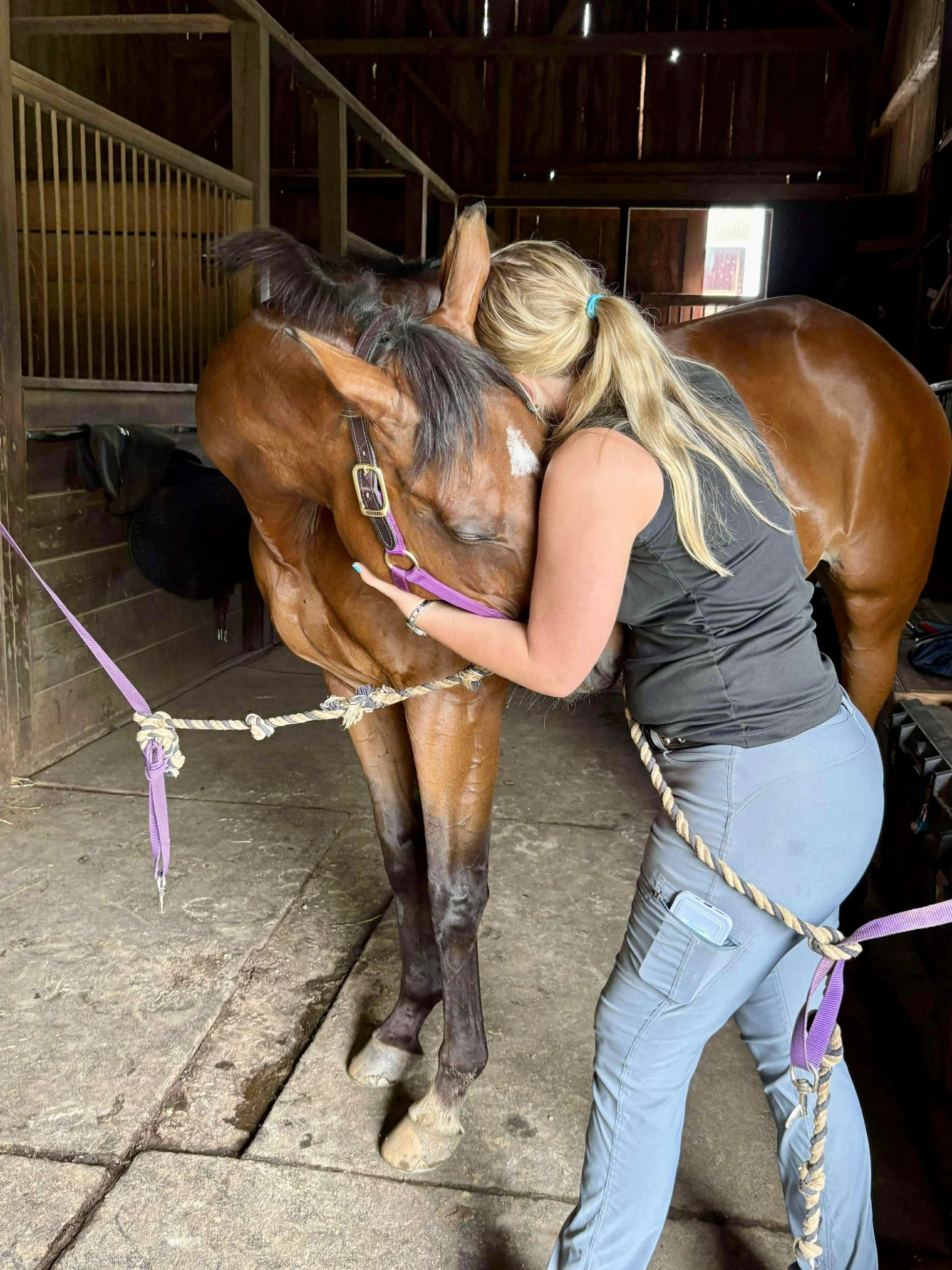 Poll Sensitivity &amp; Soft Tissue Adhesions in an OTTB