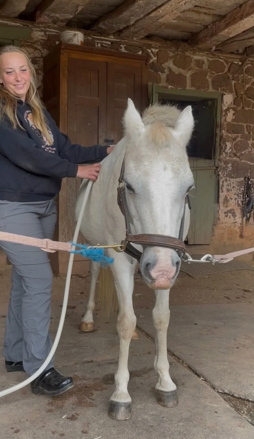 Case Study: Emilou’s Sticky Stifle and the Power of PEMF