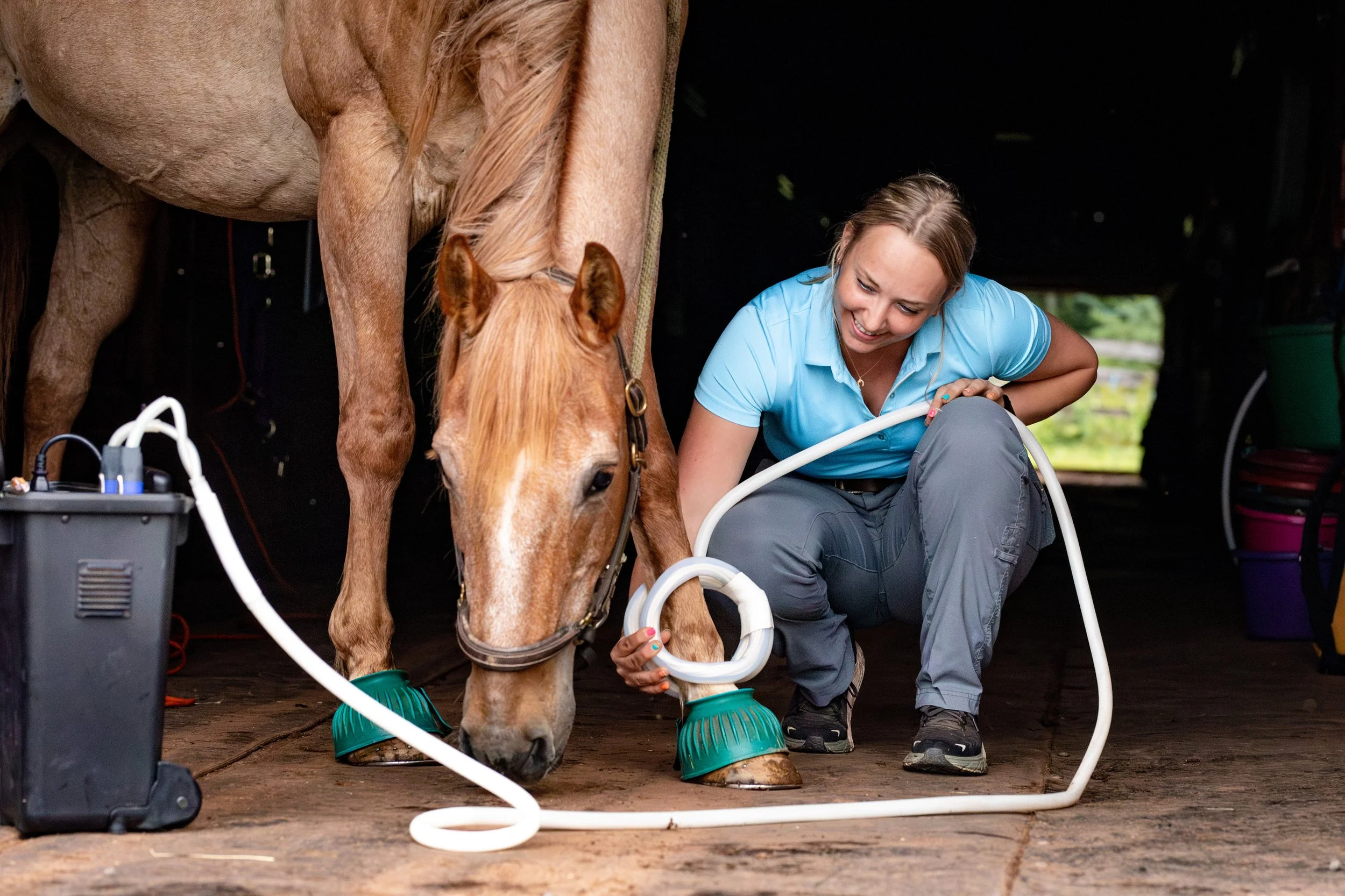 A woman using a portable farrier device on a horse's hoof inside a stable.