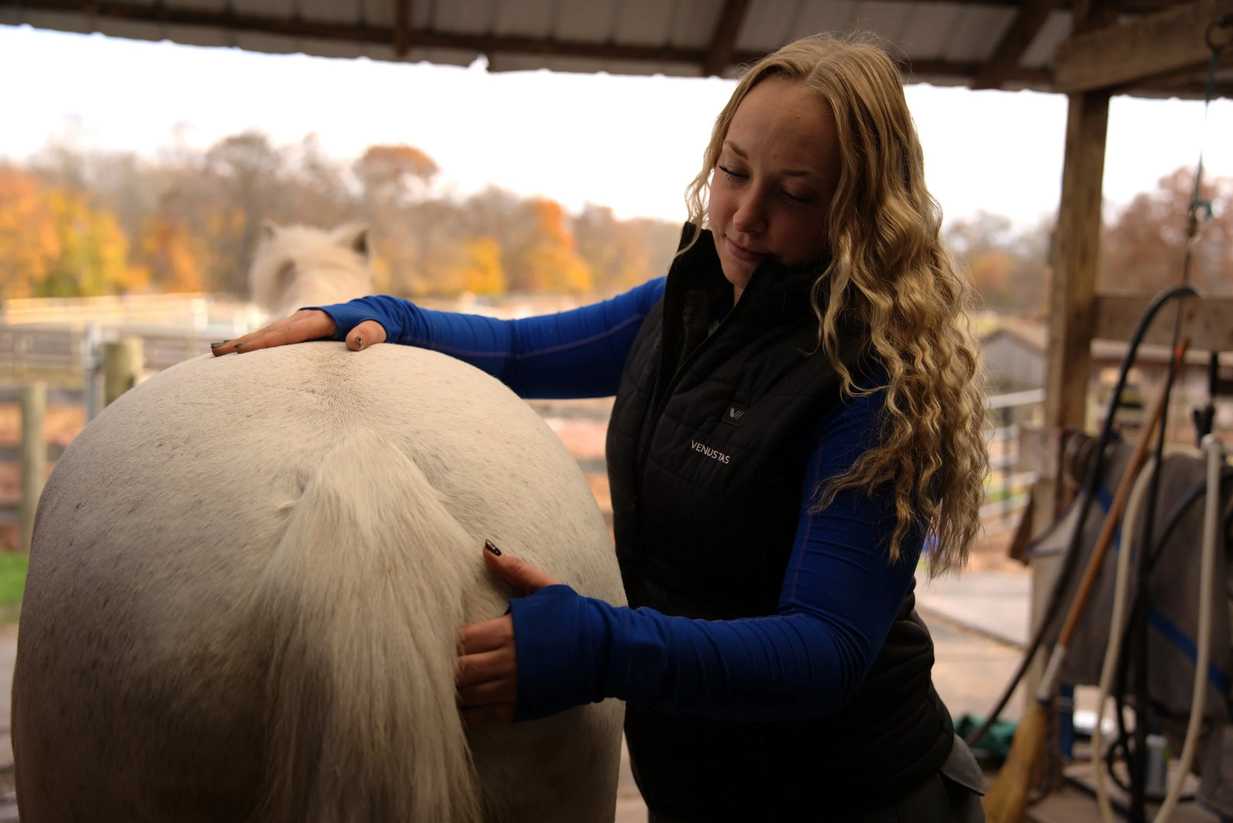 A woman grooming a white horse under a wooden shelter in a farm setting with trees in the background.
