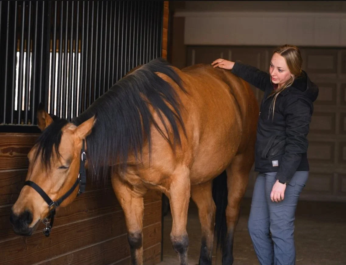 A young woman petting a brown horse inside a barn.