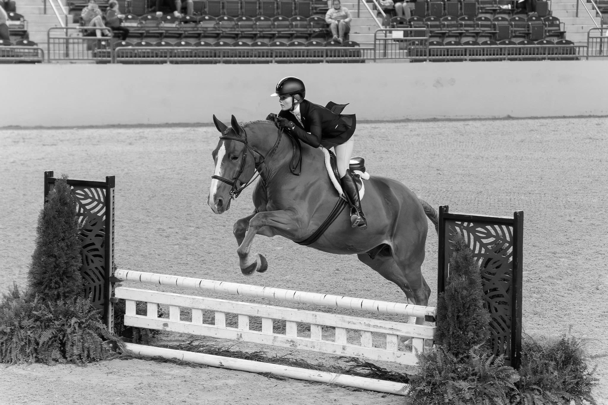 A female equestrian in formal riding attire and a helmet guides her horse over a show jumping obstacle in an arena, with spectators seated in the background.