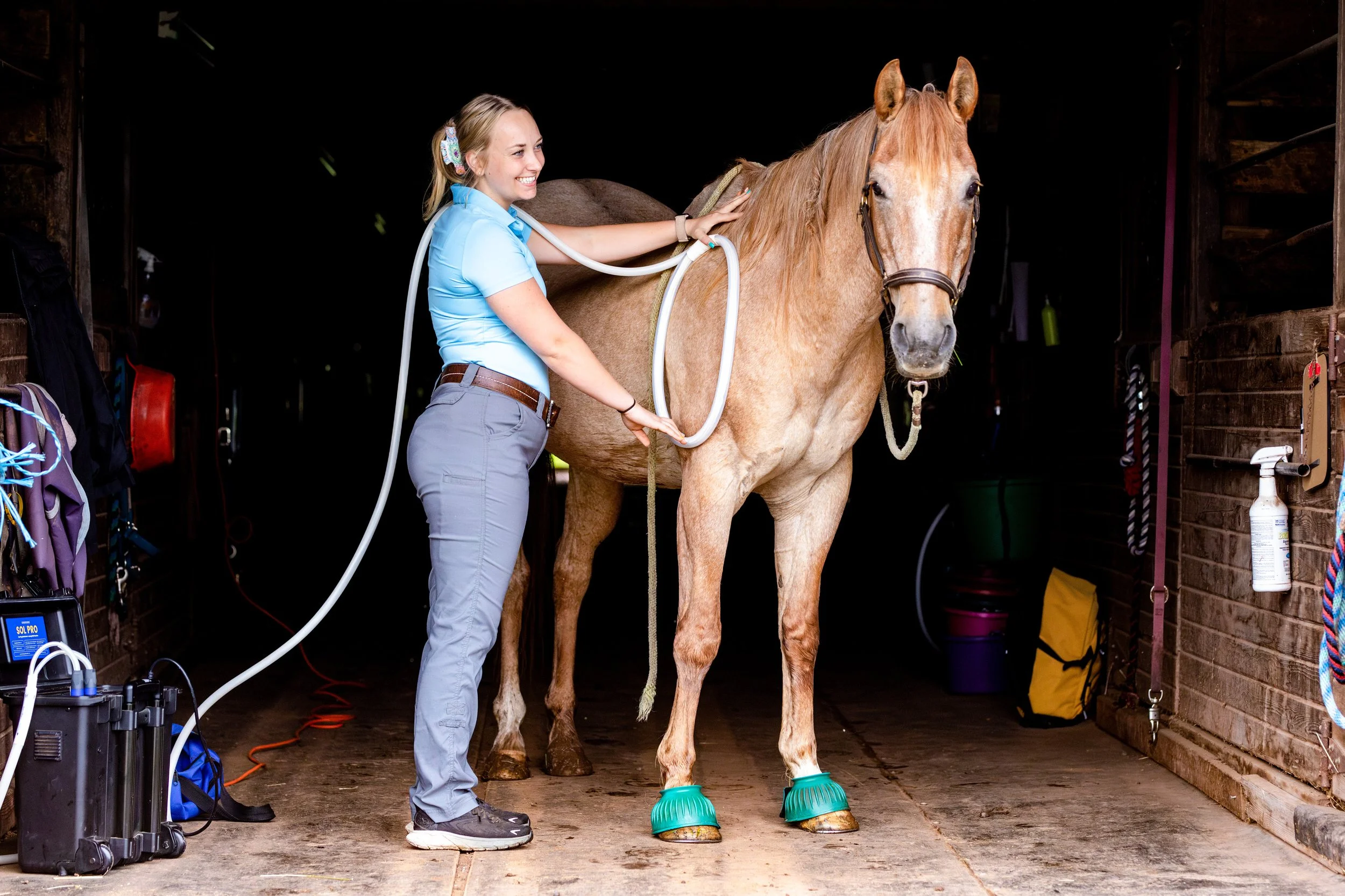 A woman in a light blue shirt and gray pants is standing in a barn, providing PEMF therapy to the horses shoulder