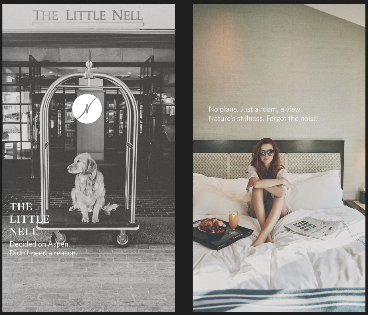 TLN Paid Media The Arrival 2.png