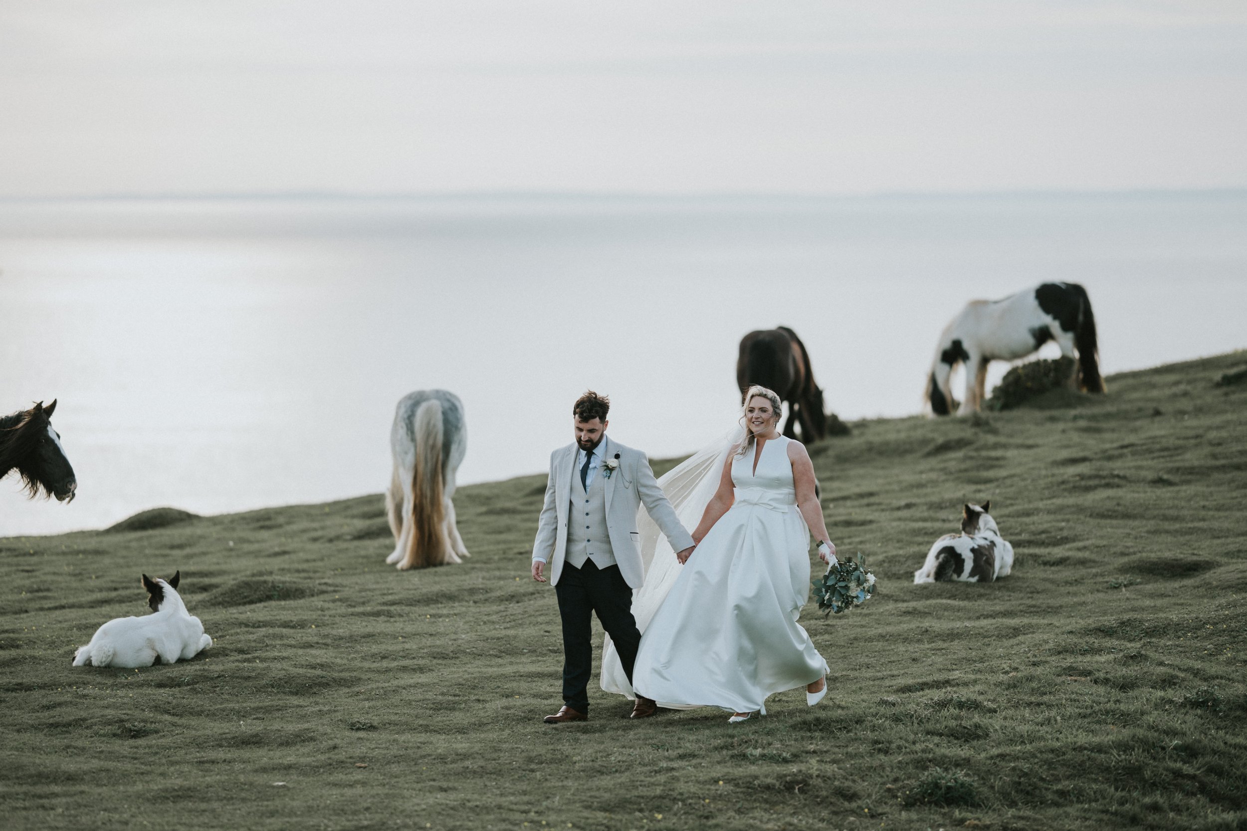 A bride and groom walking hand in hand on a grassy hillside near water, surrounded by grazing horses and a resting pony.