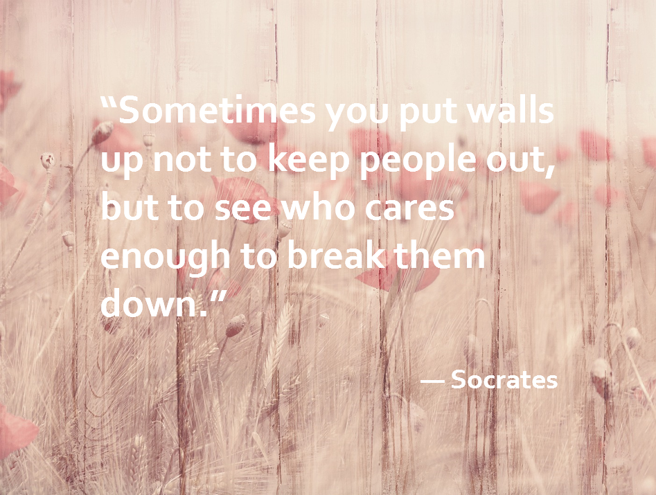 Socrates_Walls.png