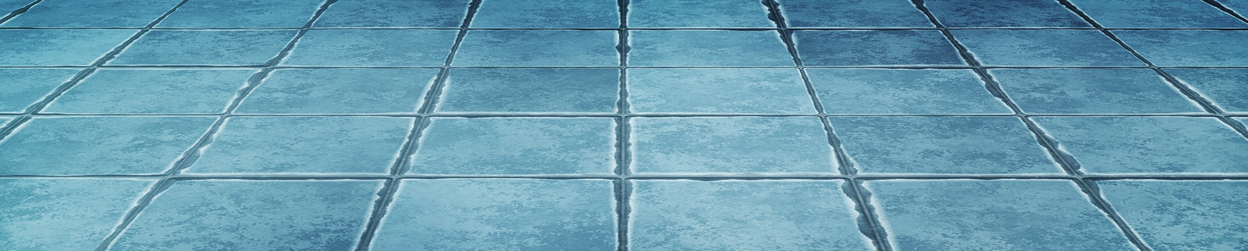 Close-up of wet blue ceramic tiles on the floor.