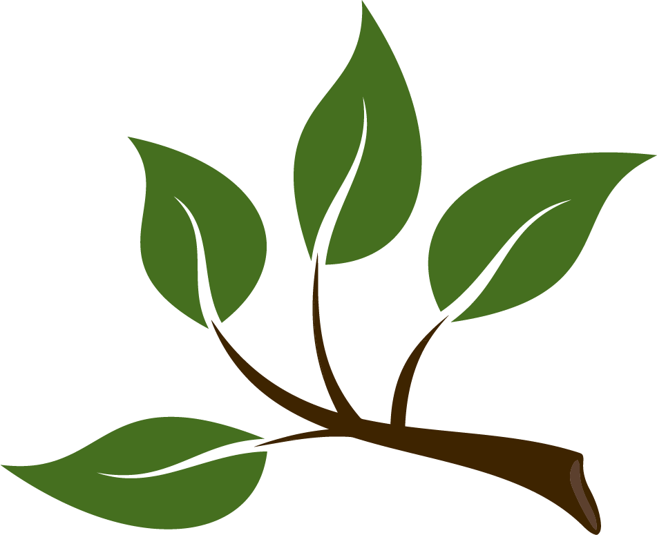 A cartoon depiction of a small tree branch with six green leaves.