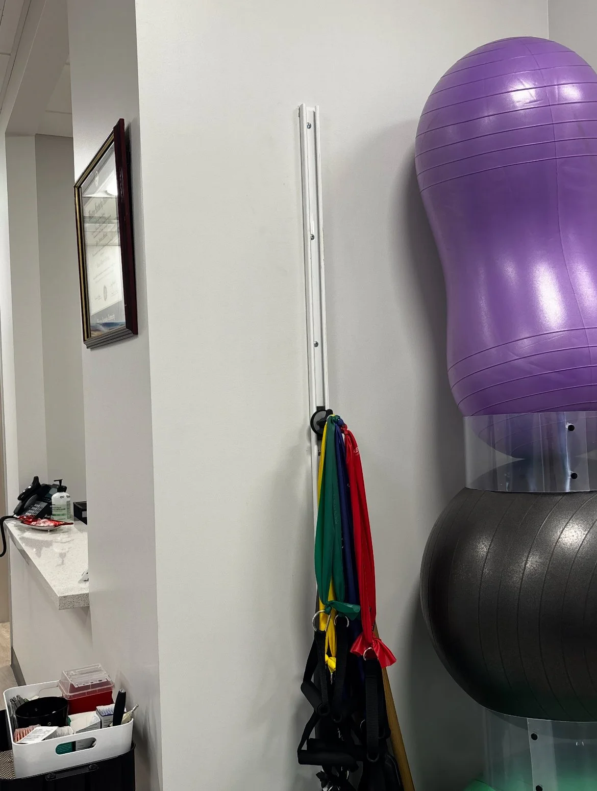Wall with resistance bands hanging on a vertical rack and exercise balls mounted on a wall, next to a purple gym ball.