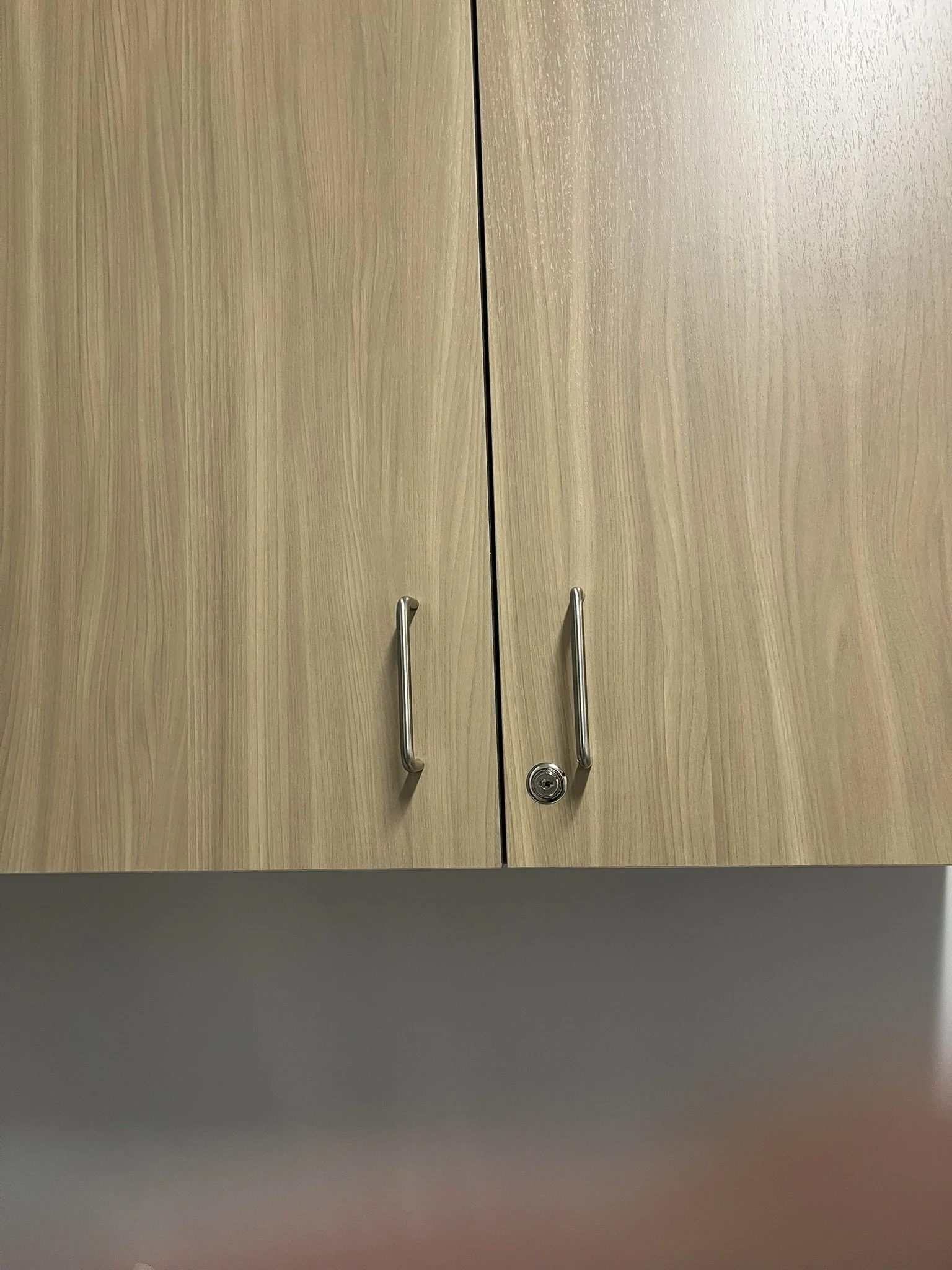 Wooden cabinet doors with metal handles and a lock.