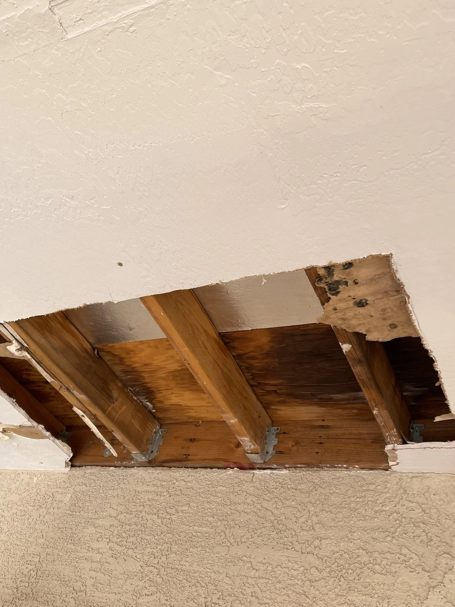 Ceiling with damaged drywall removed, exposing wooden beams and mold on a section of the wall.