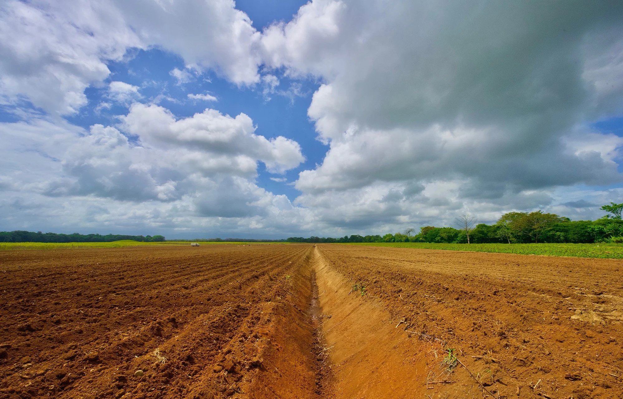 Recuerdo Los Ticos.JPG