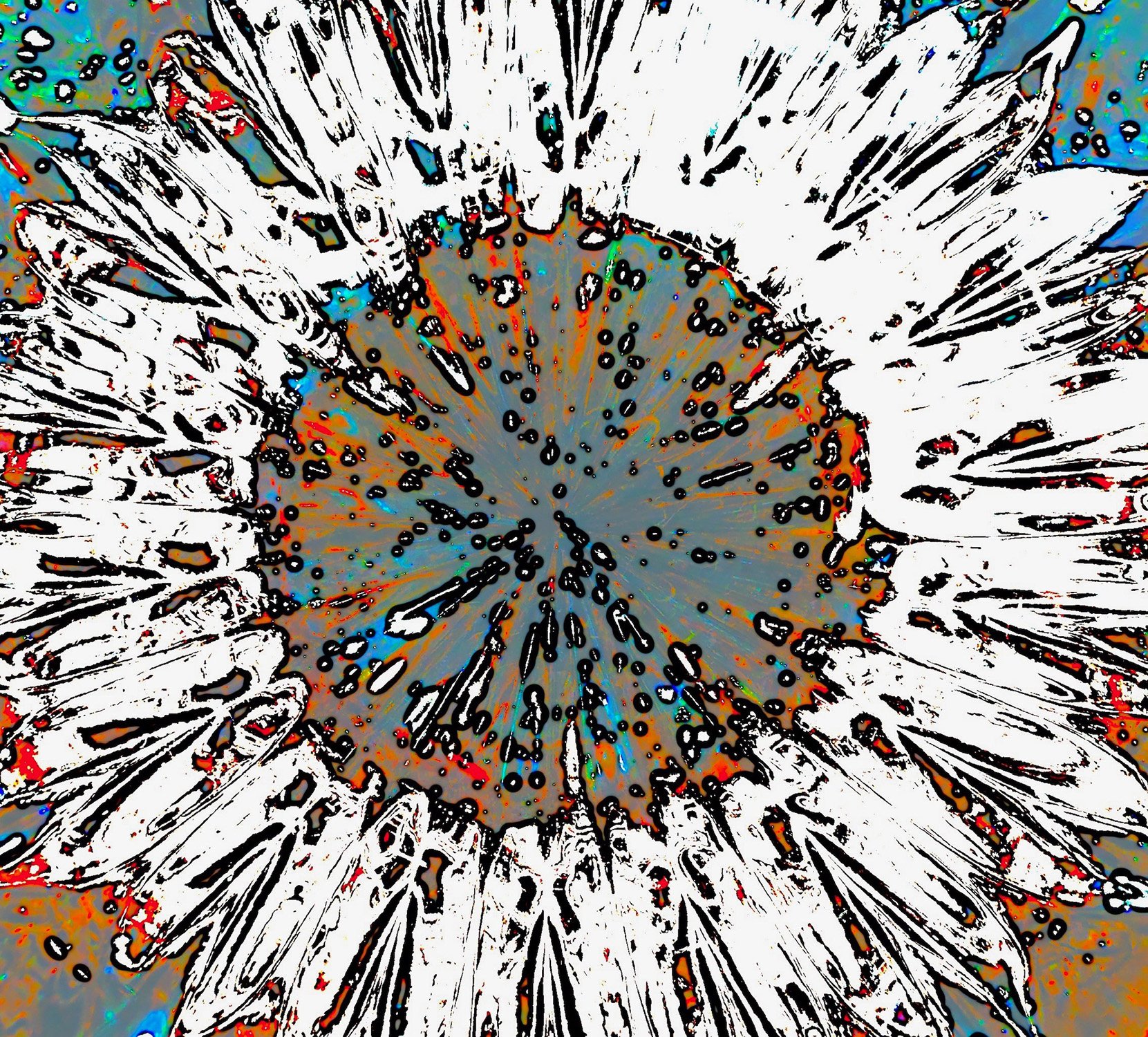 Hallucinatory #12.JPG