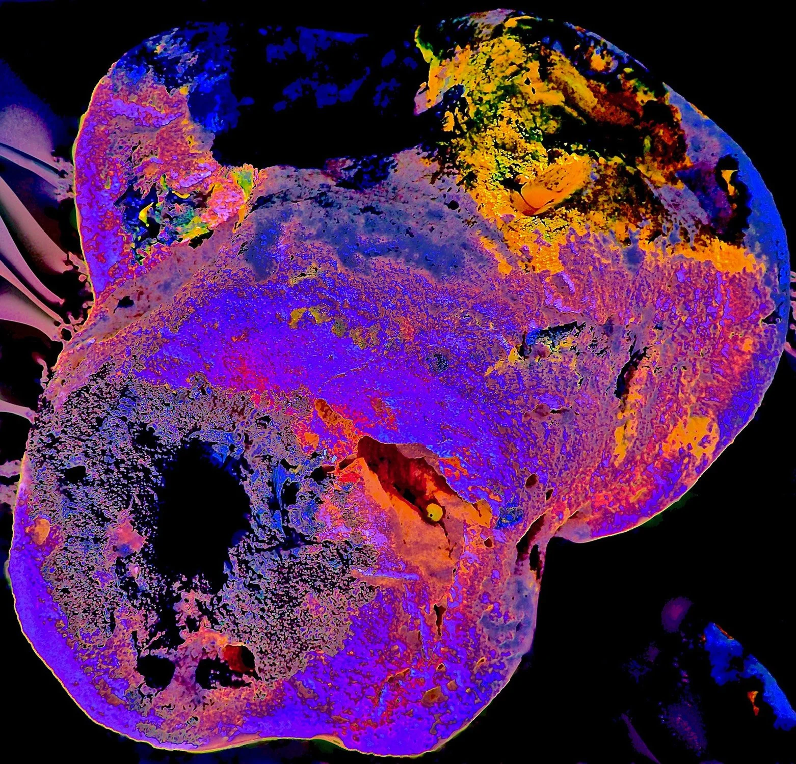 Hallucinatory #26.JPG