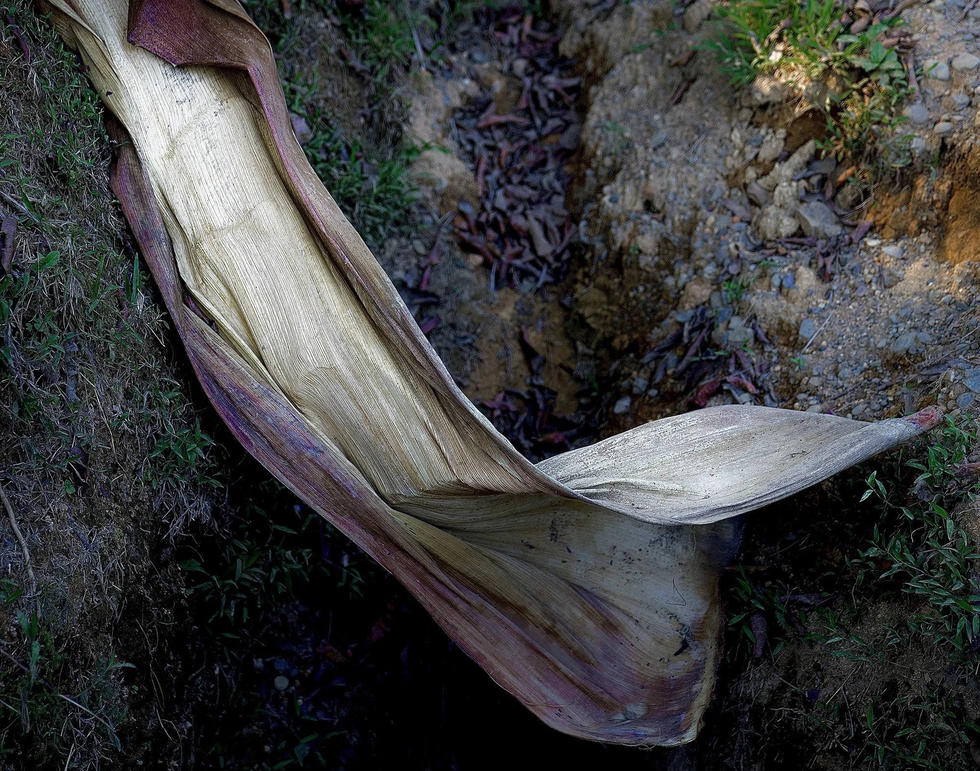 Una Cosa Hermosa.JPG