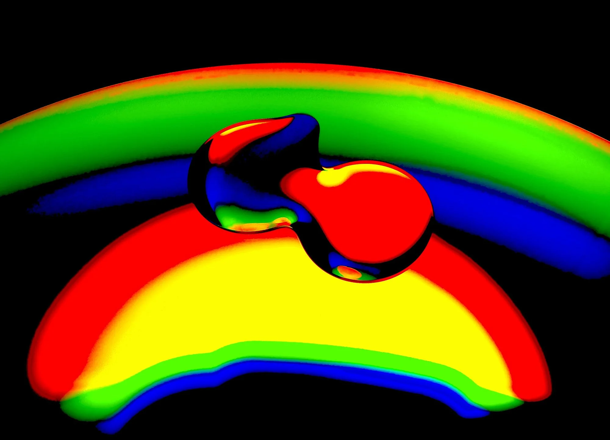 Olive Oil and CD.JPG