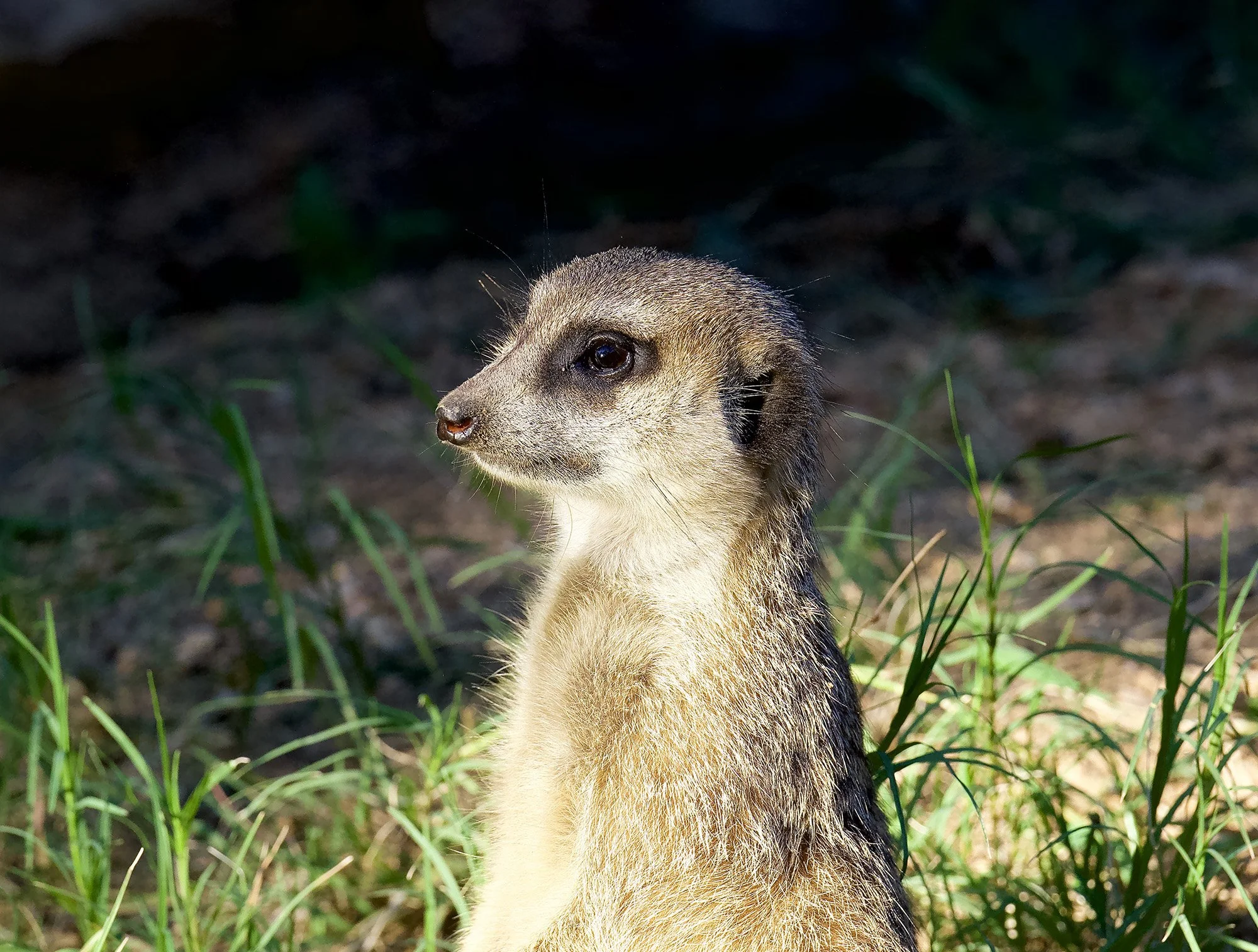 Be On the Lookout.JPG