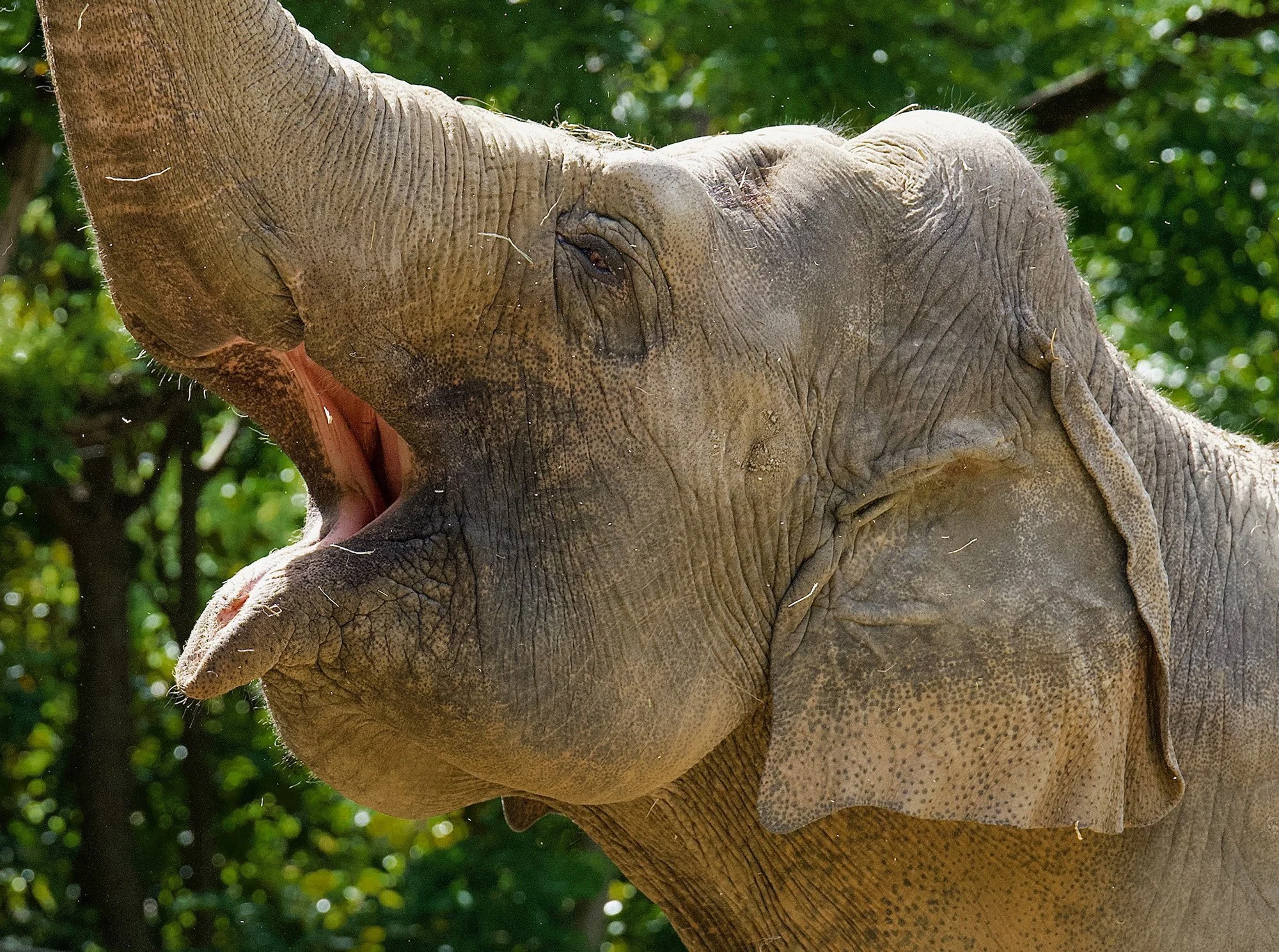 What's So Funny?.JPG