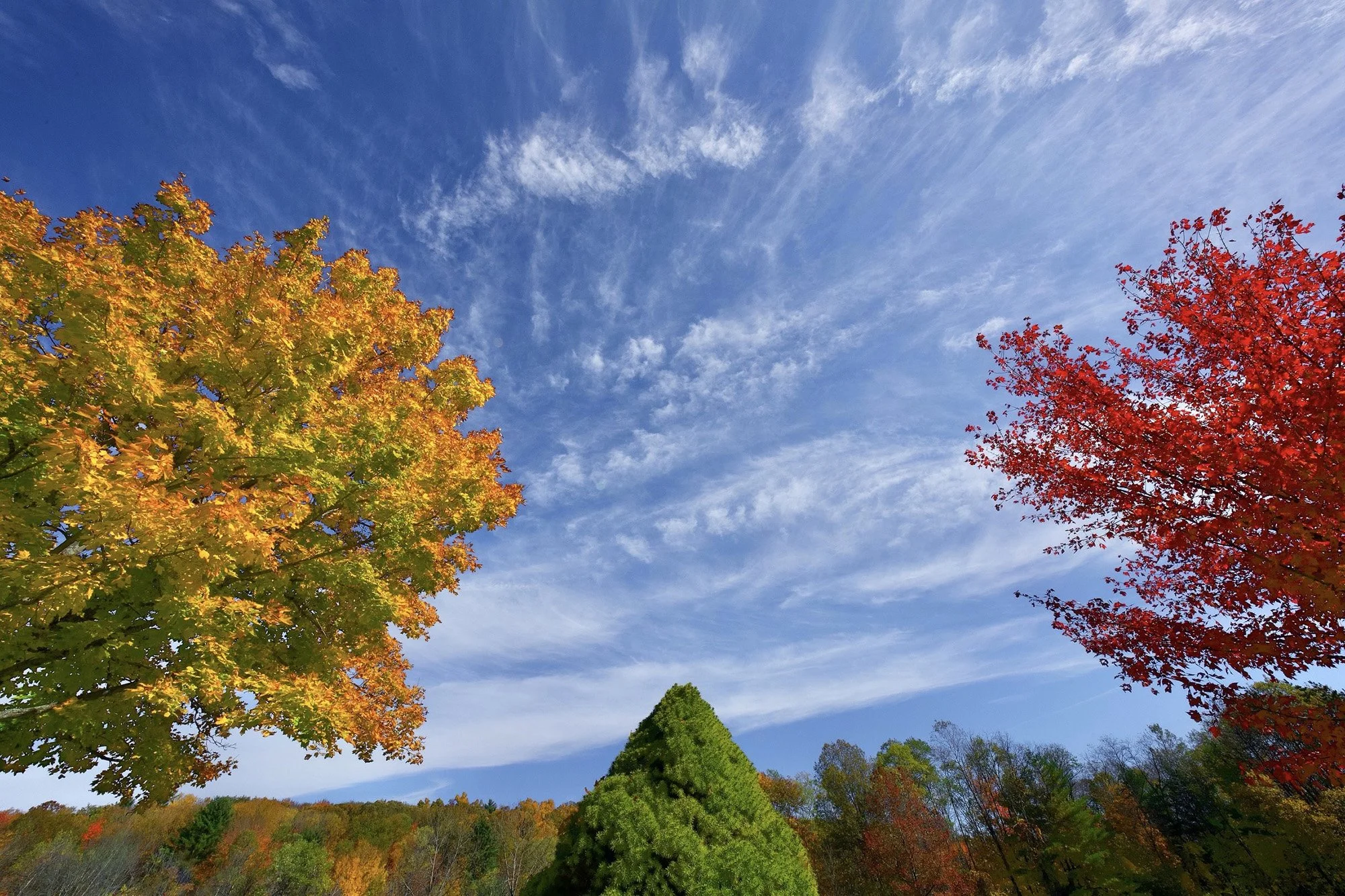 The Local Graveyard.JPG