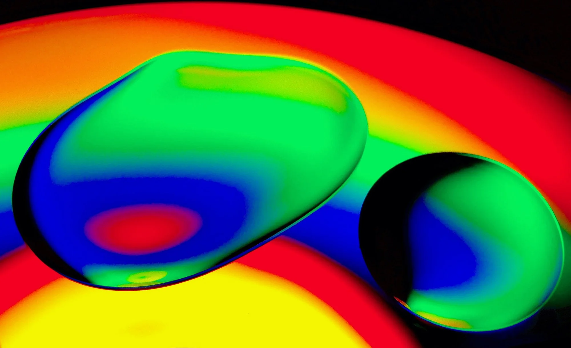 Olive Oil and CD #2.JPG