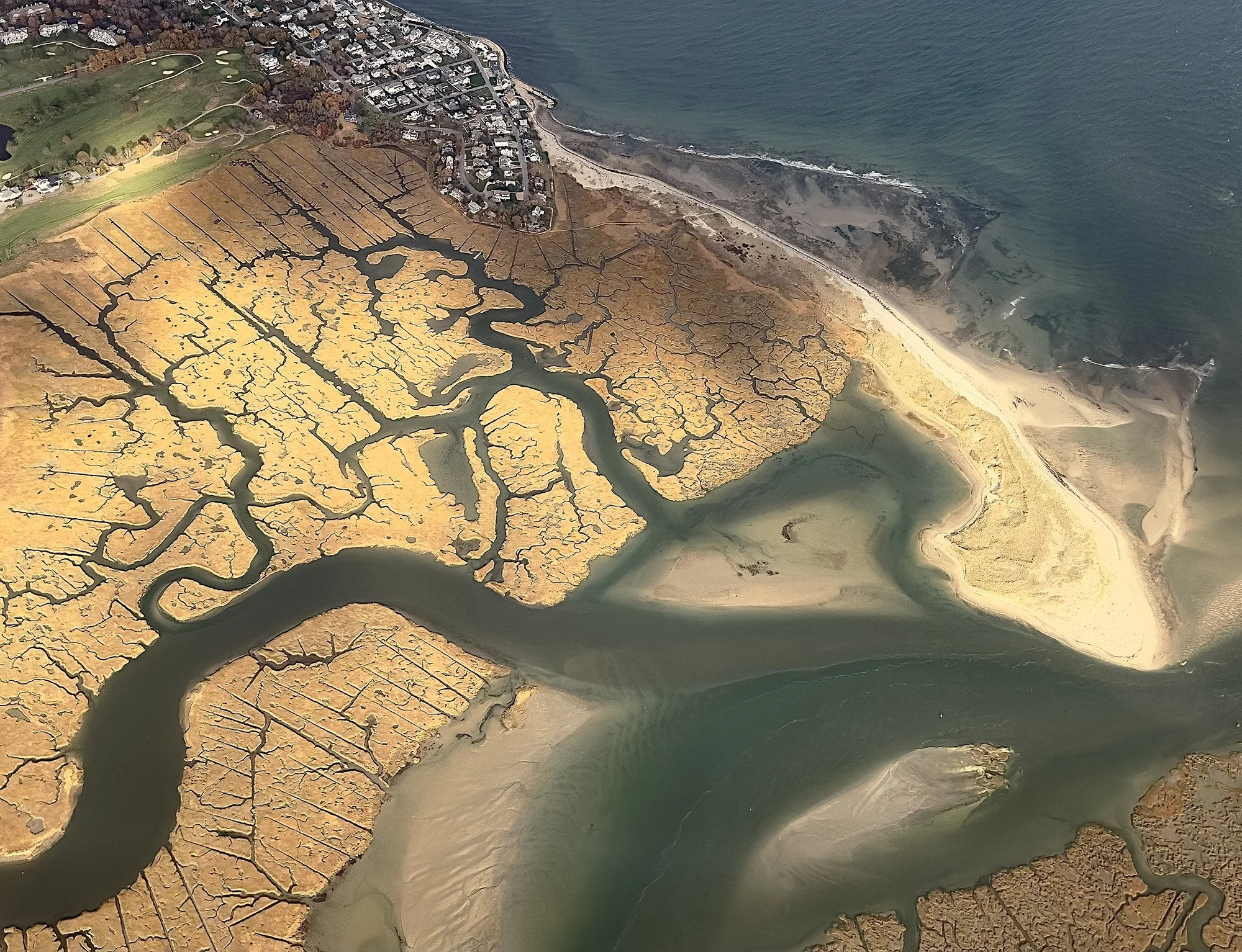 Wetlands from Above.jpeg