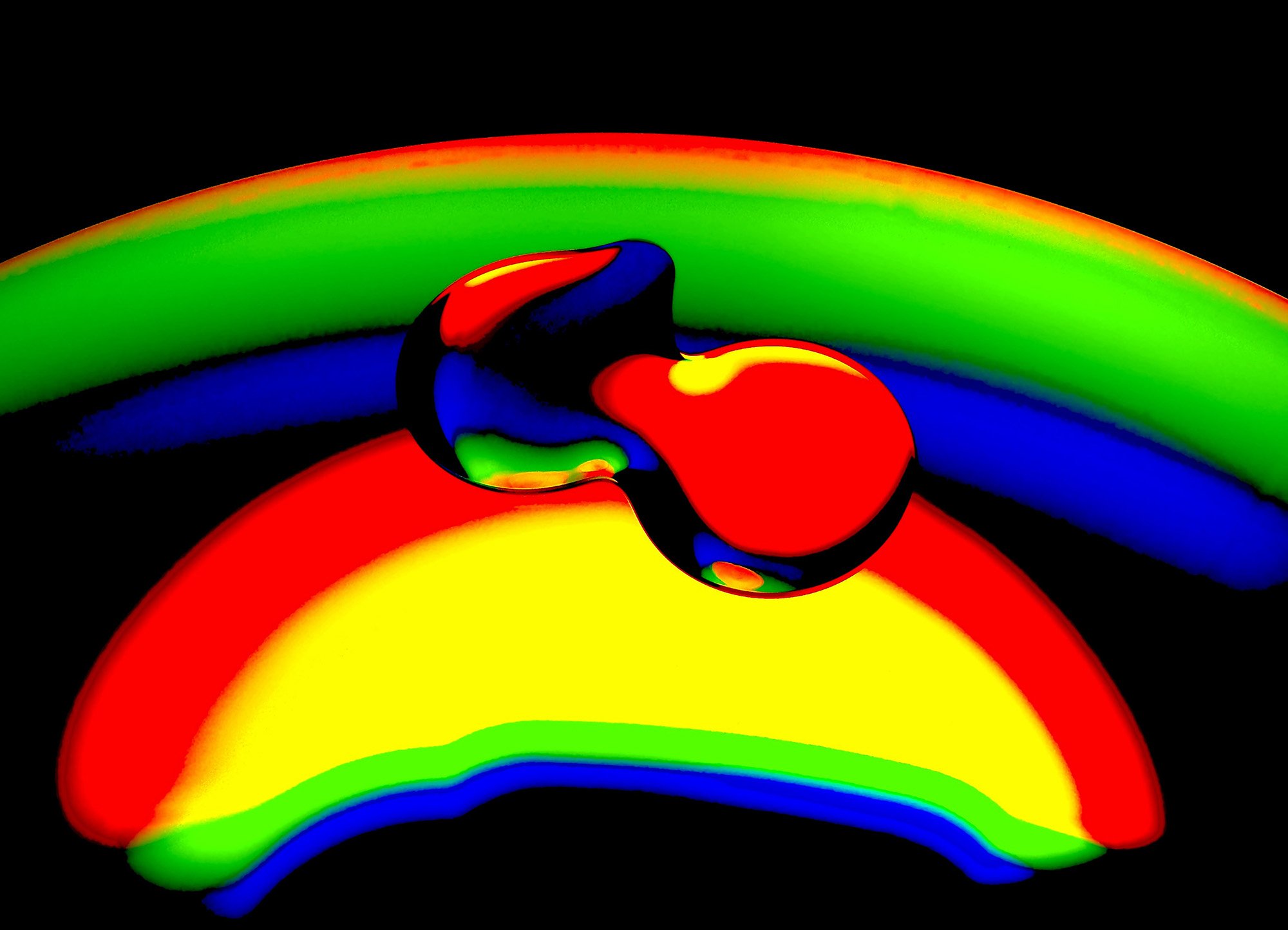 Olive Oil and CD.JPG