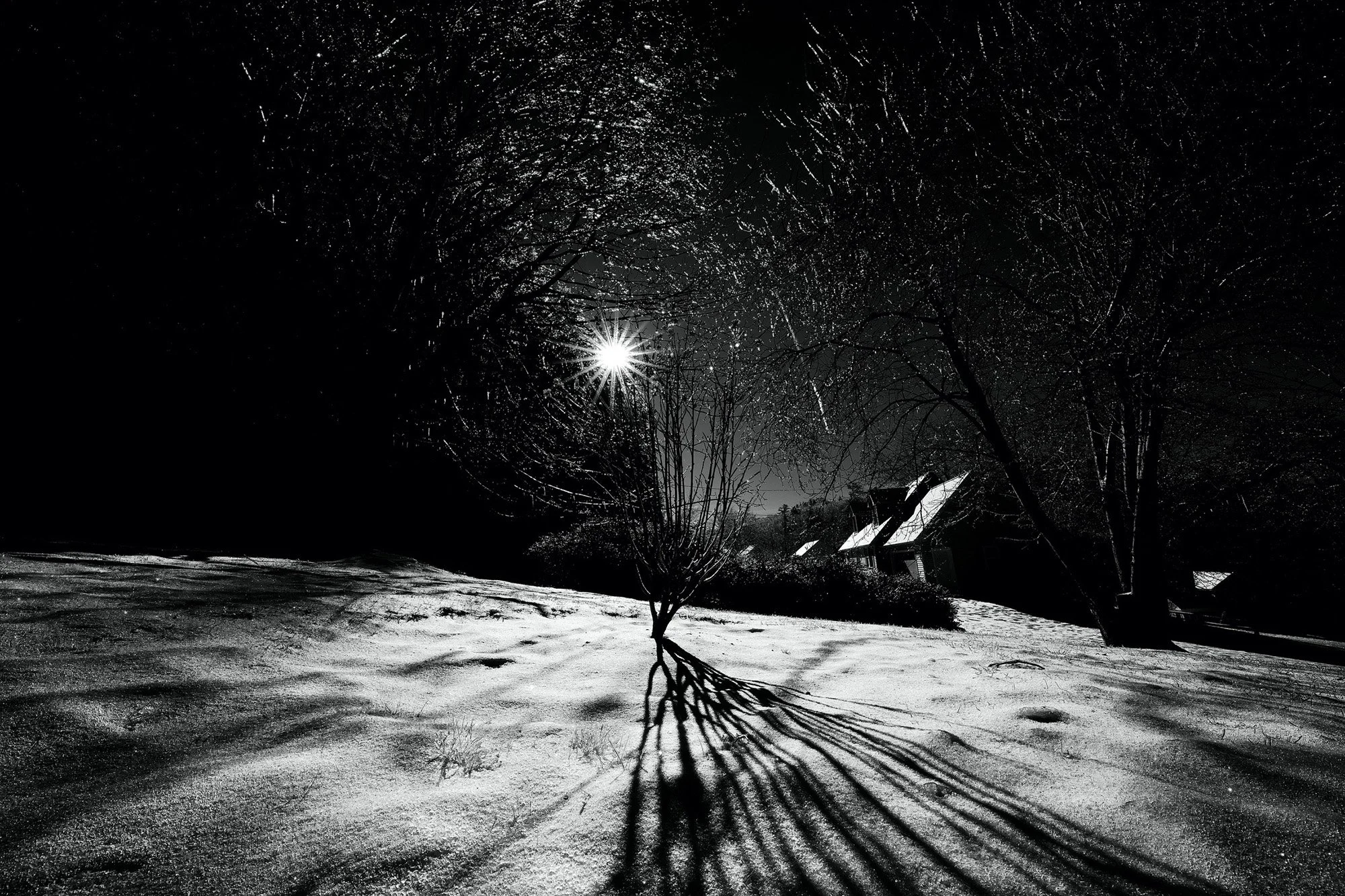 My Neighbor's House.JPG